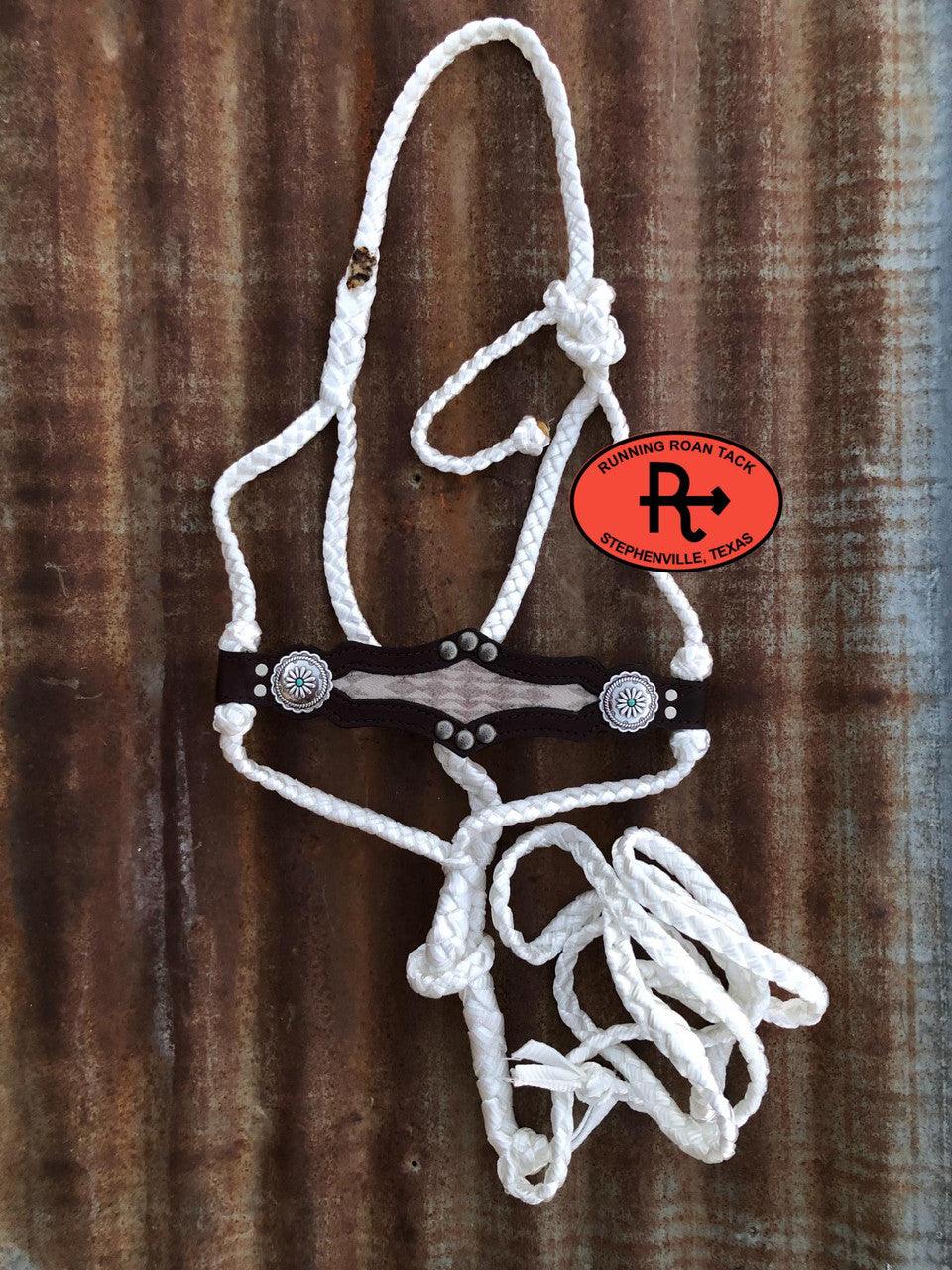 White Mule Tape Halter with Chocolate Leather Nose with Inlaid Wool and Lead