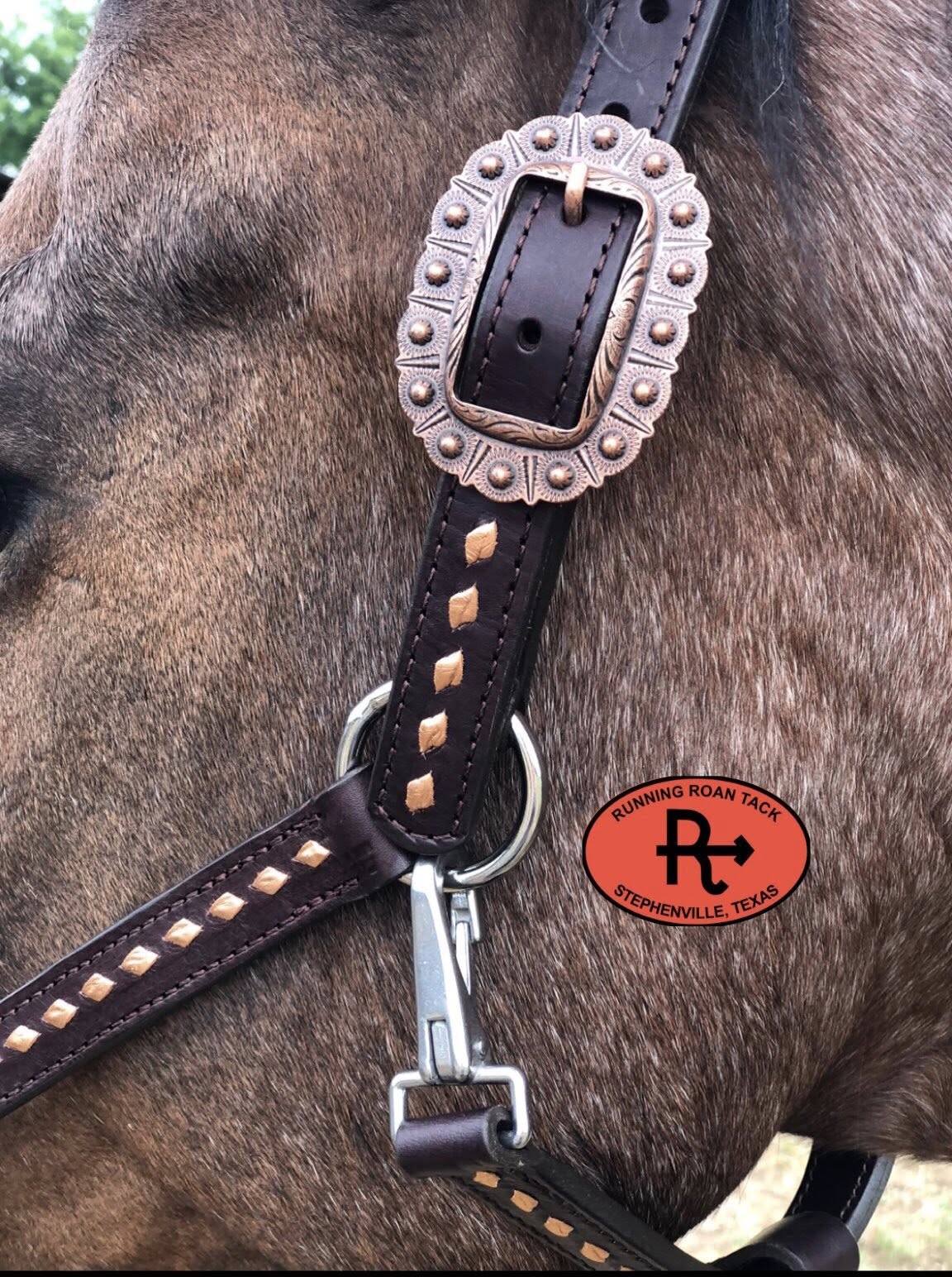 Copper Buckstitch Leather Halter with German Silver Saguaro Cactus Hardware