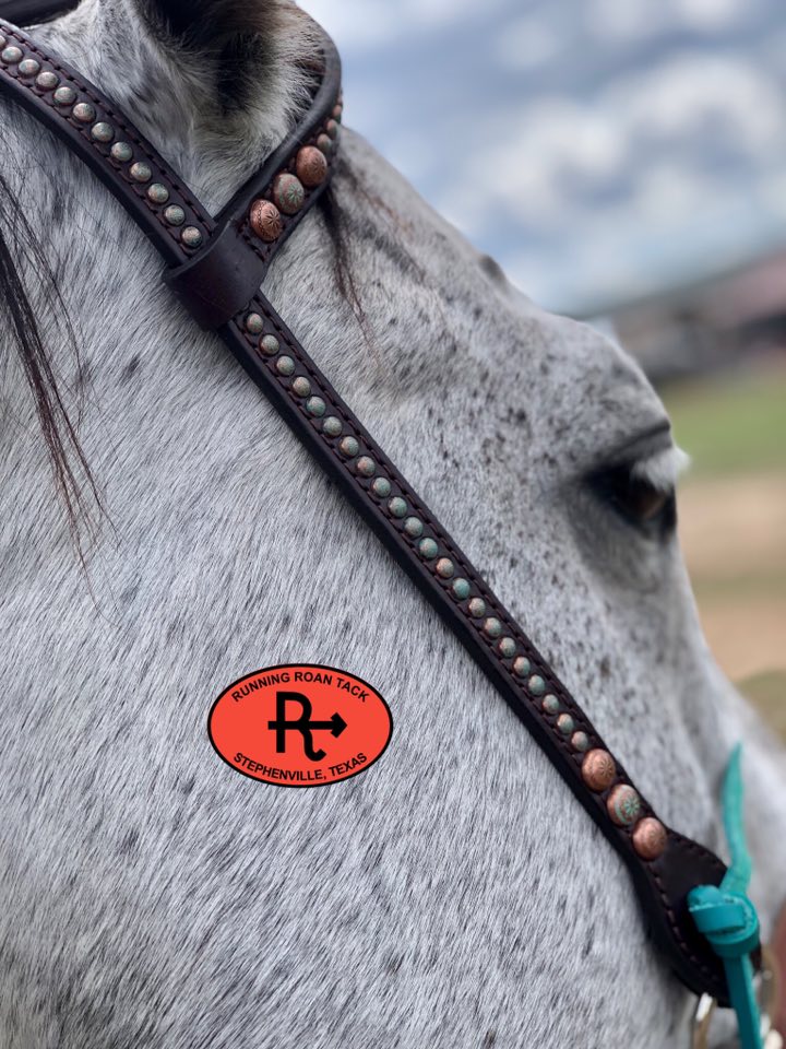 Single Ear Headstall with Copper Dots and Peacock Feather Buckle 35"-39" Headstall10062025-09