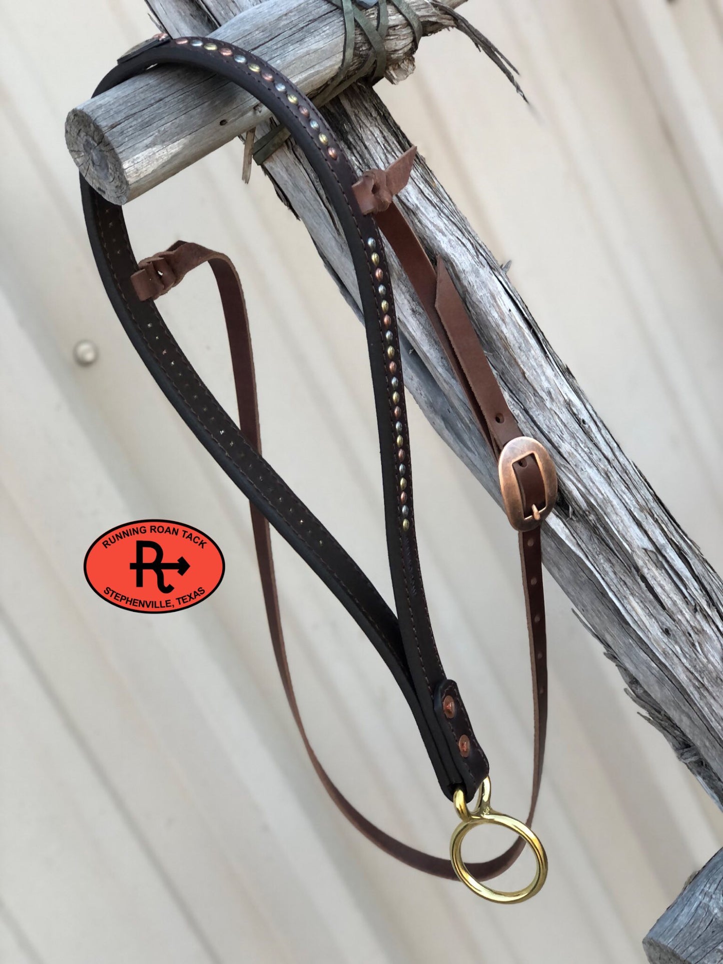 Tiedown Noseband with German Silver Cactus Concho and Multicolor Dots Tiedown12012025-03