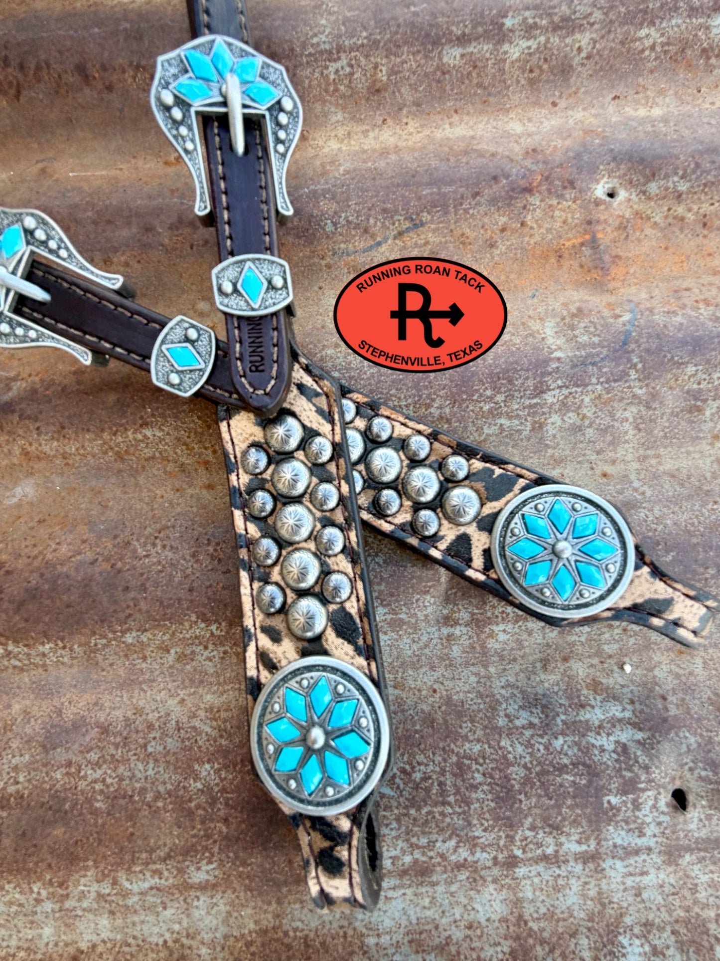 Studded Leopard Headstall with Cactus Flower Hardware 29”-37” Headstall09072026-03