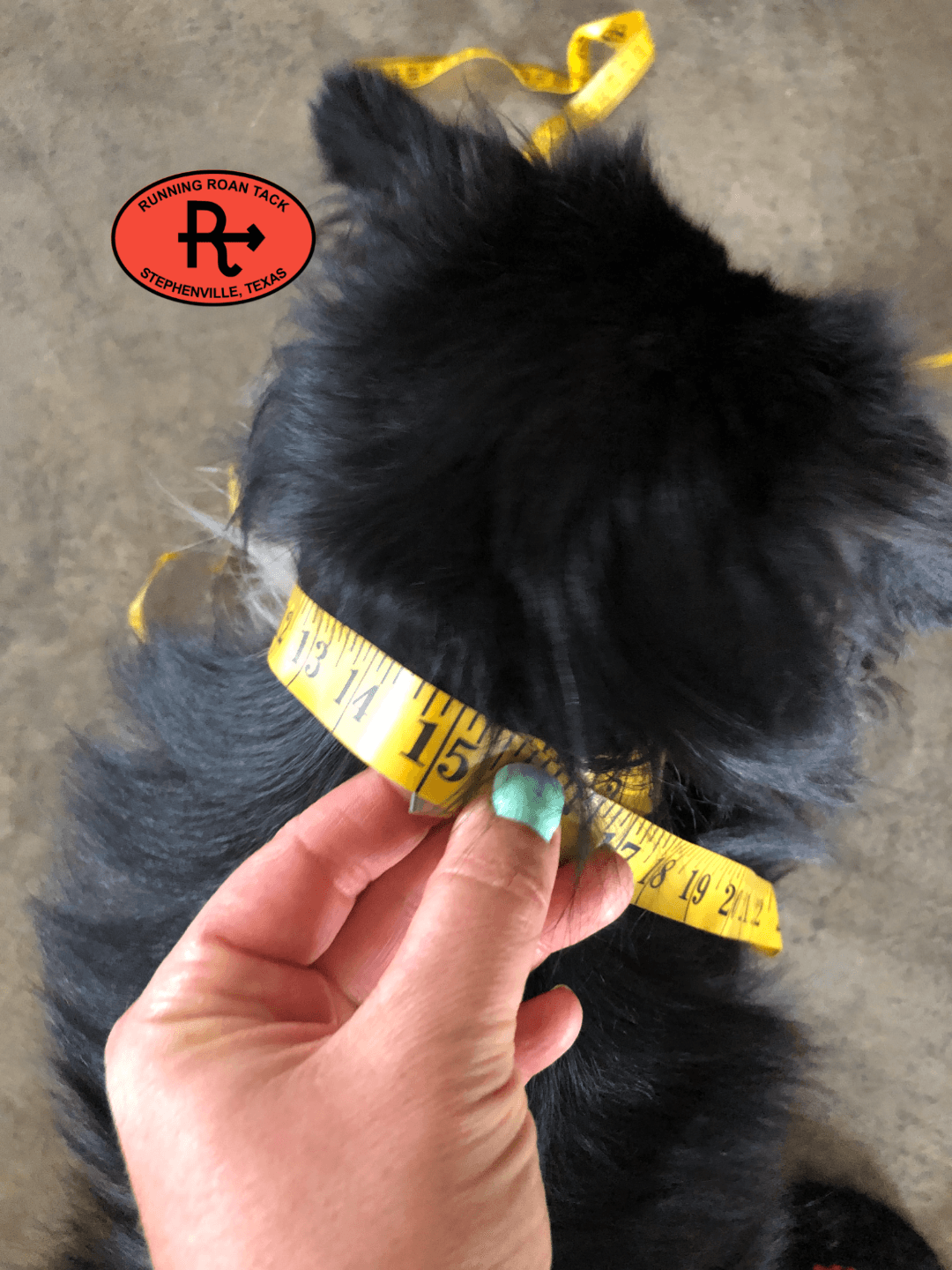 9"-11" Dog Collar 1/2" Wide Chocolate Leather with Buckstitch and One-piece Copper Buckle