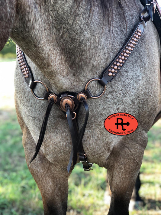 Ring Breast Collar with Slotted Mesa Conchos