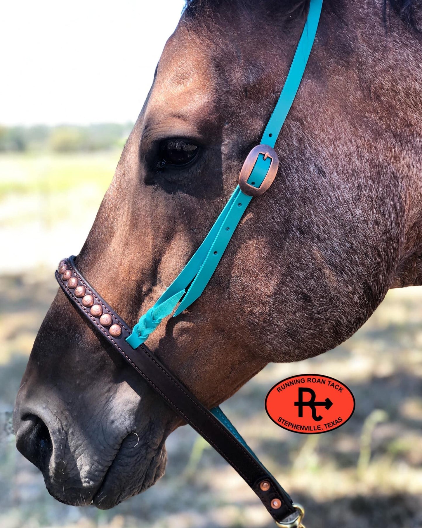 Tiedown Noseband with Turquoise Leather Accents and Copper Dots