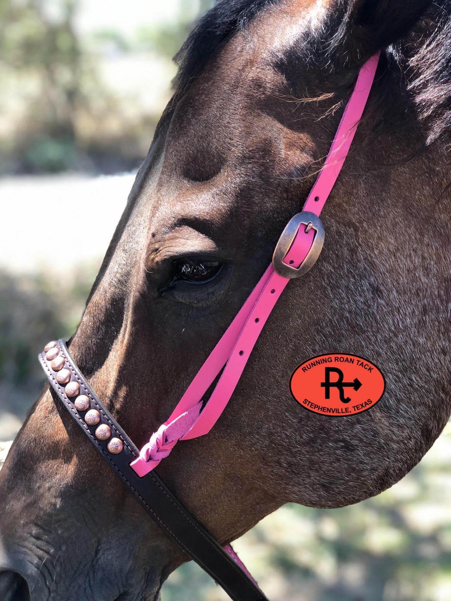 Tiedown Noseband with Pink Leather Accents and Copper Dots