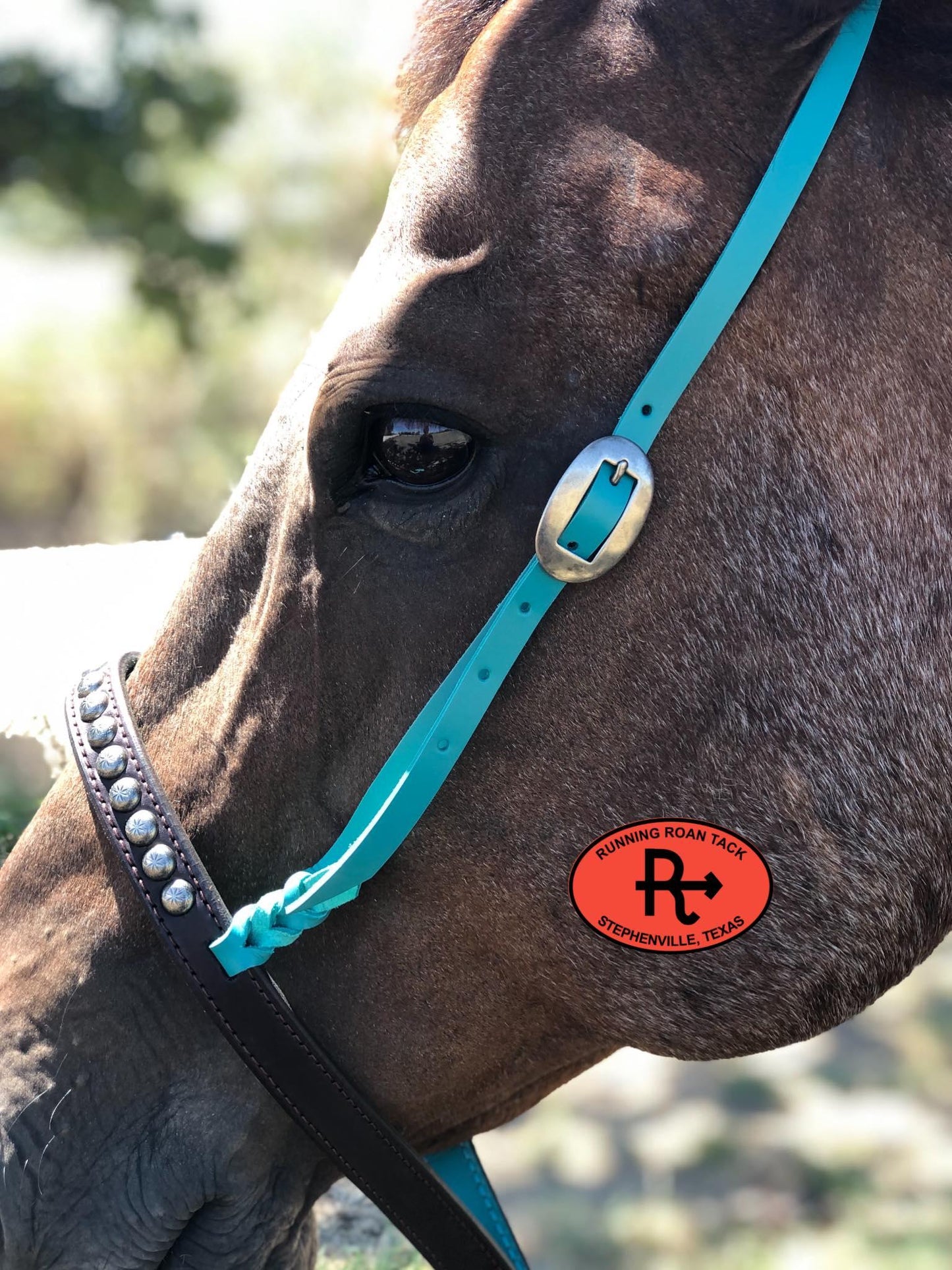 Tiedown Noseband with Turquoise Leather Accents and Antique Silver Dots