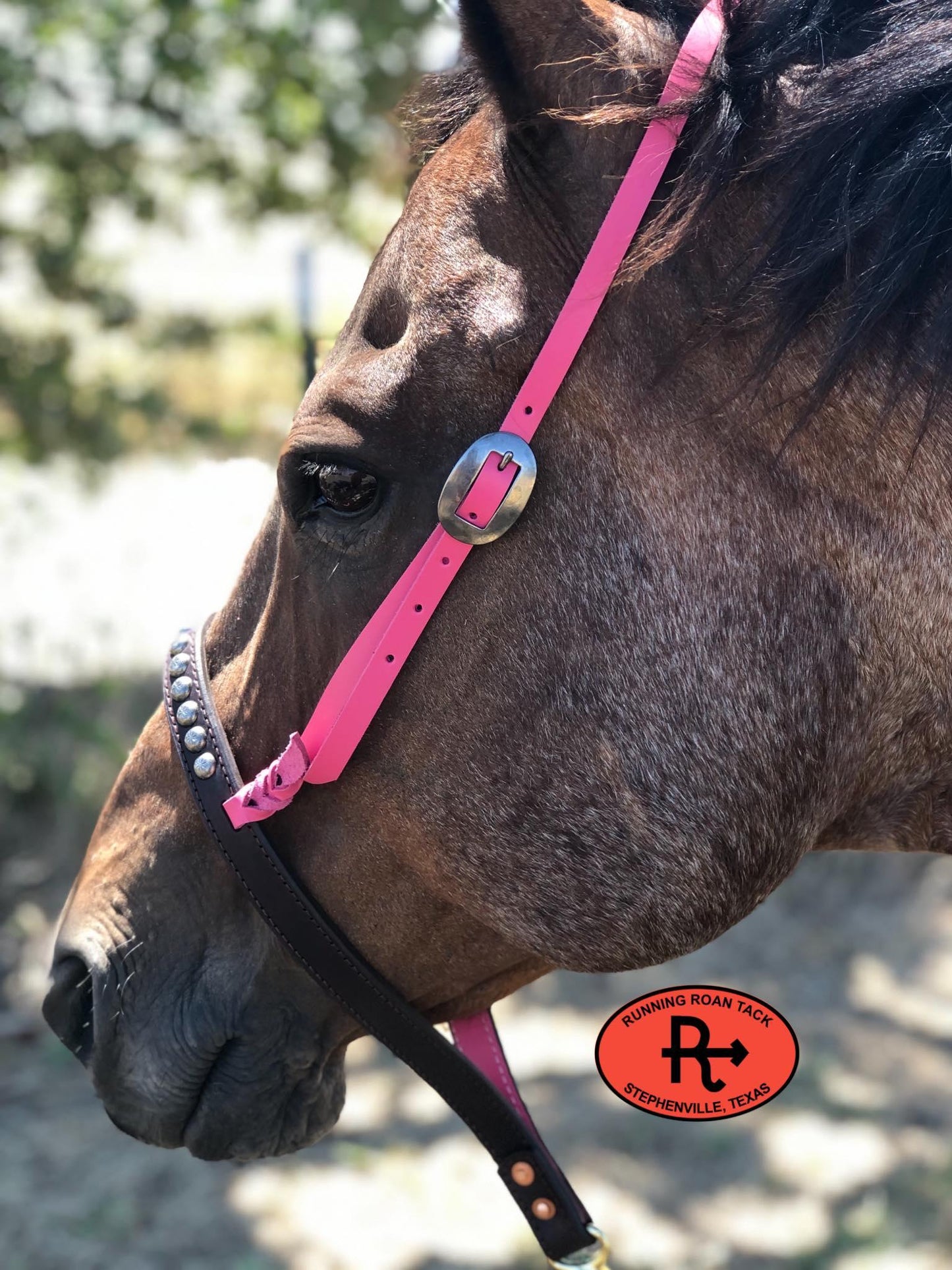 Tiedown Noseband with Pink Leather Accents and Antique Silver Dots