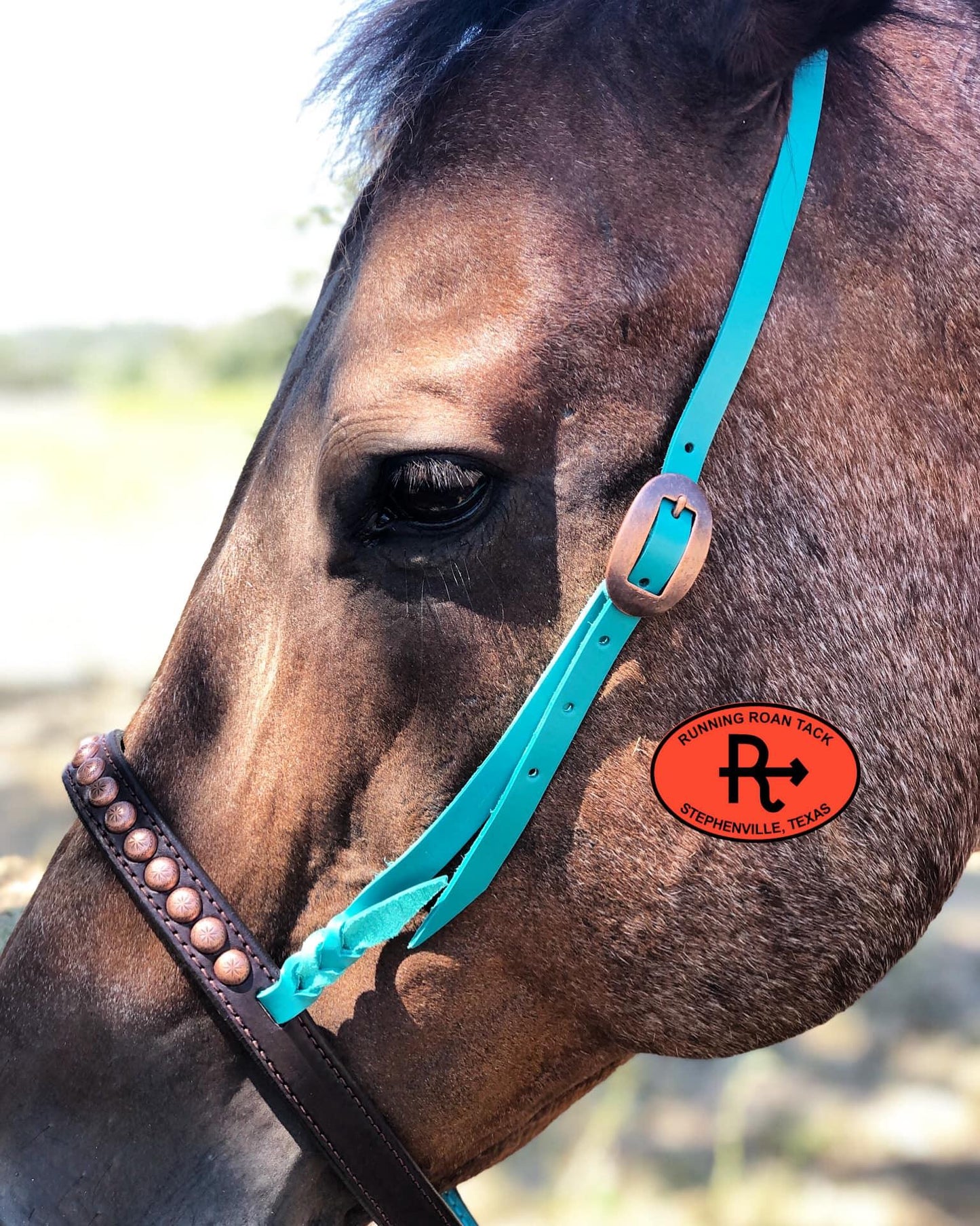 Tiedown Noseband with Turquoise Leather Accents and Copper Dots