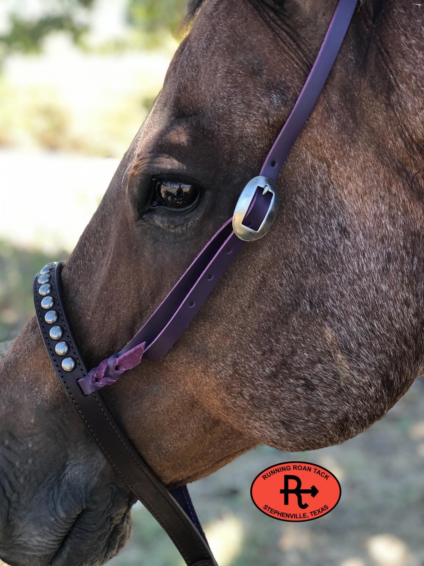 Tiedown Noseband with Dark Purple Leather Accents and Antique Silver Dots