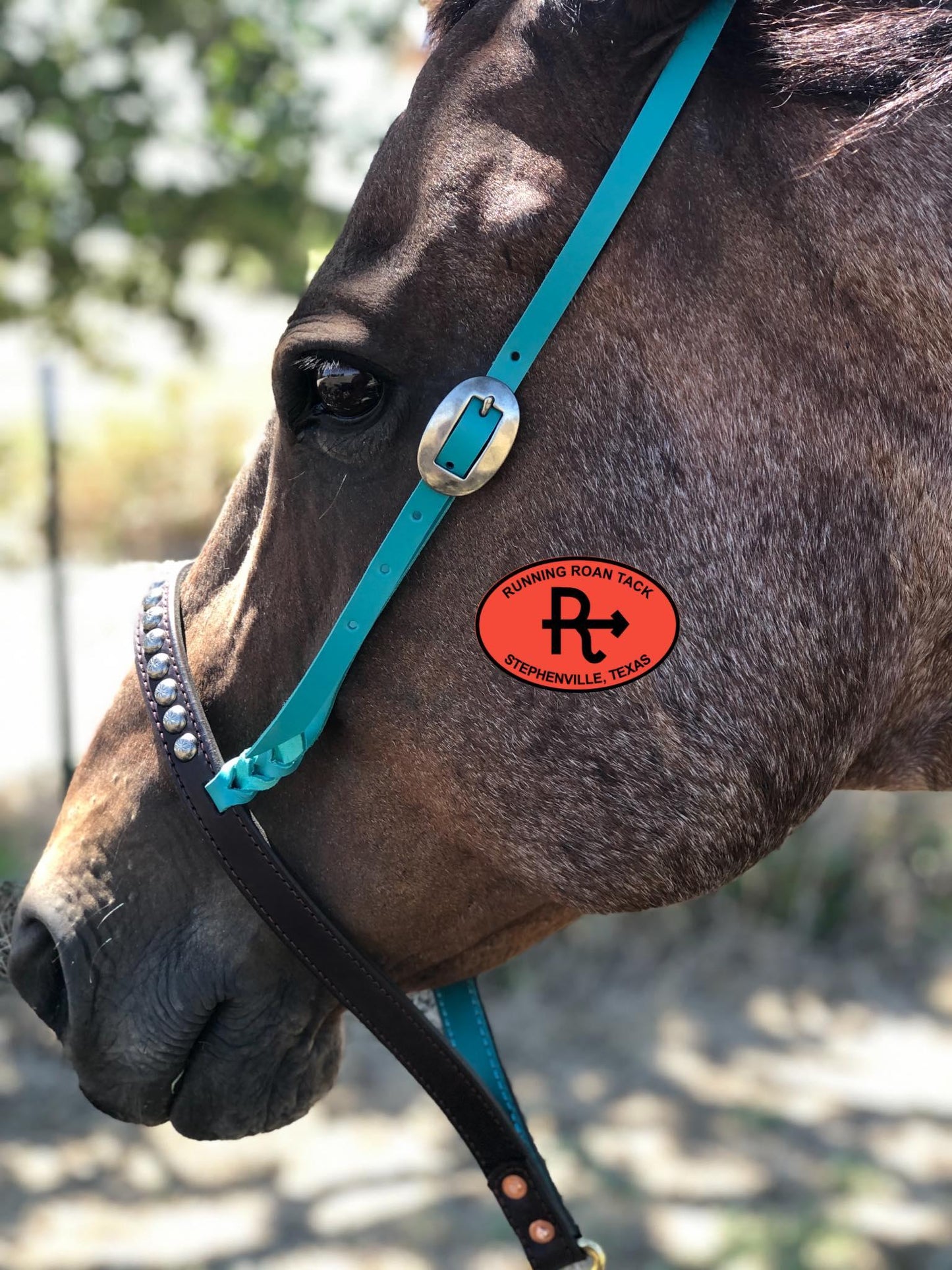 Tiedown Noseband with Turquoise Leather Accents and Antique Silver Dots