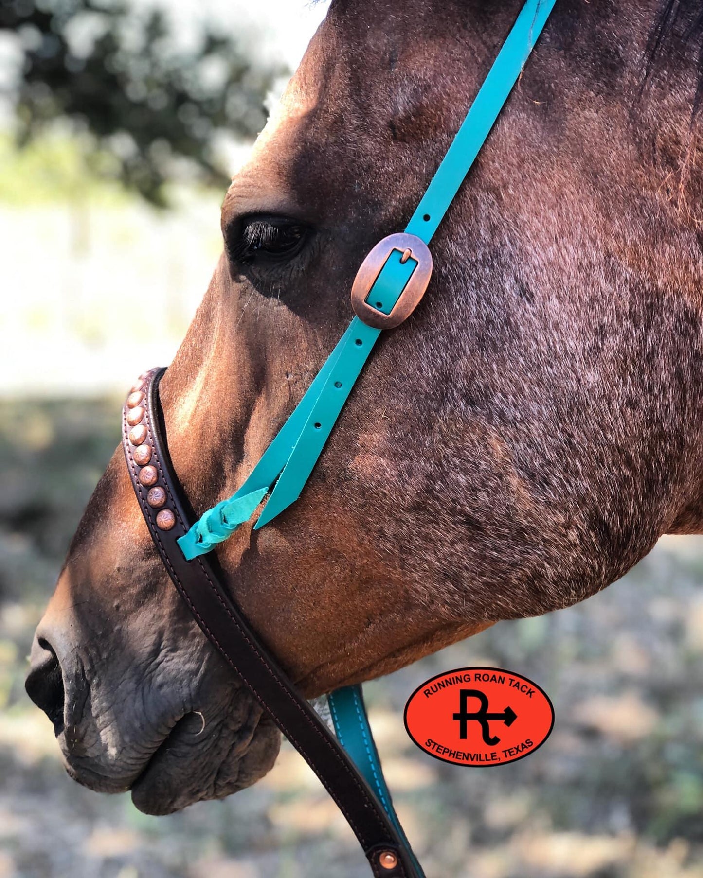 Tiedown Noseband with Turquoise Leather Accents and Copper Dots