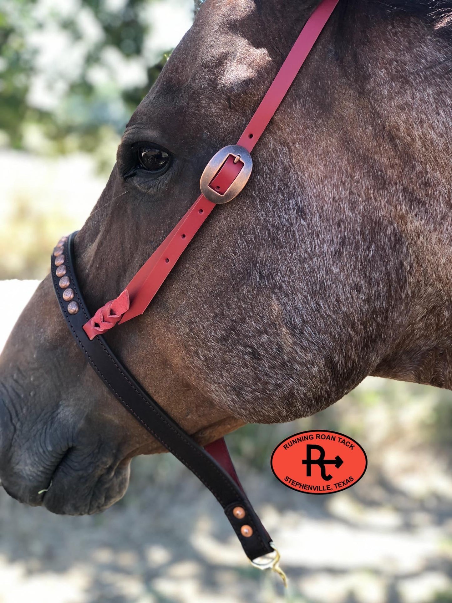 Tiedown Noseband with Red Leather Accents and Copper Dots