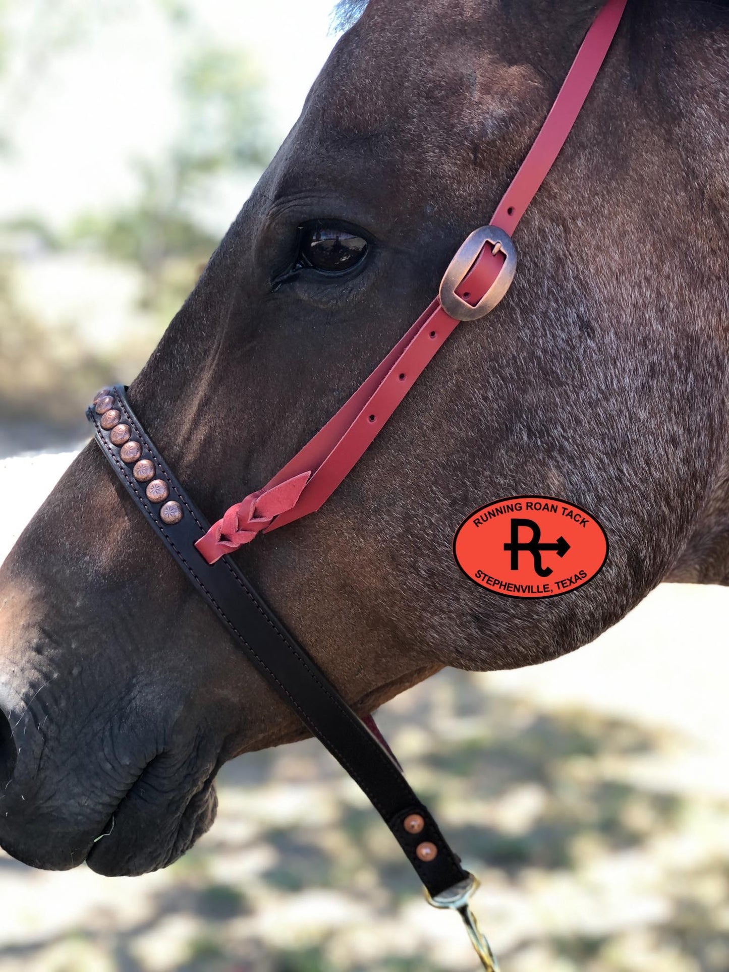 Tiedown Noseband with Red Leather Accents and Copper Dots