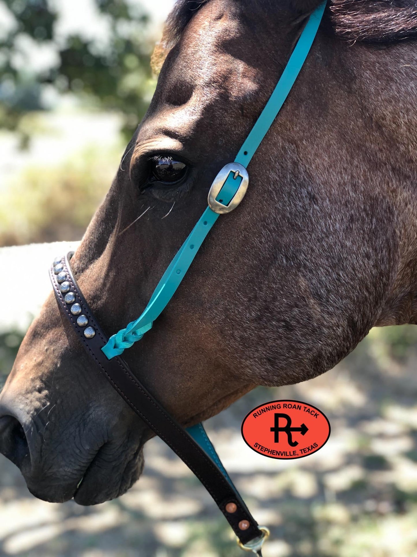 Tiedown Noseband with Turquoise Leather Accents and Antique Silver Dots