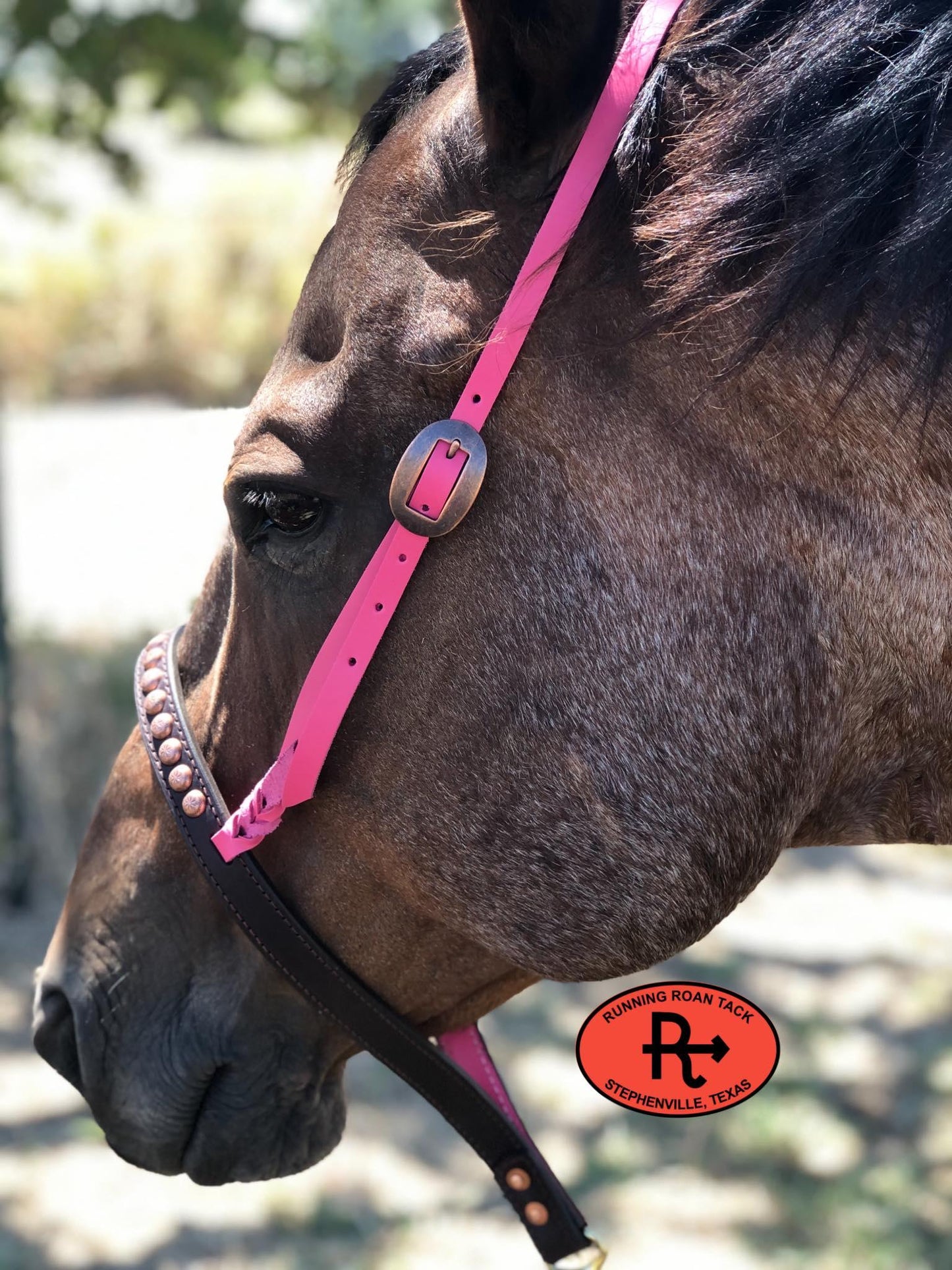 Tiedown Noseband with Pink Leather Accents and Copper Dots