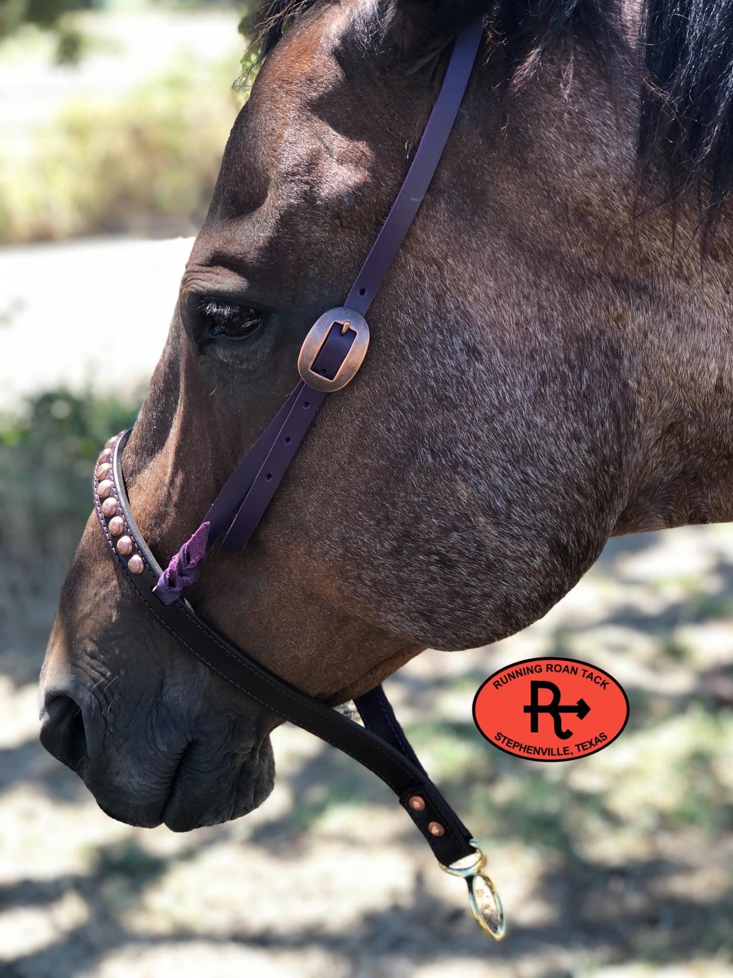 Tiedown Noseband with Dark Purple Leather Accents and Copper Dots