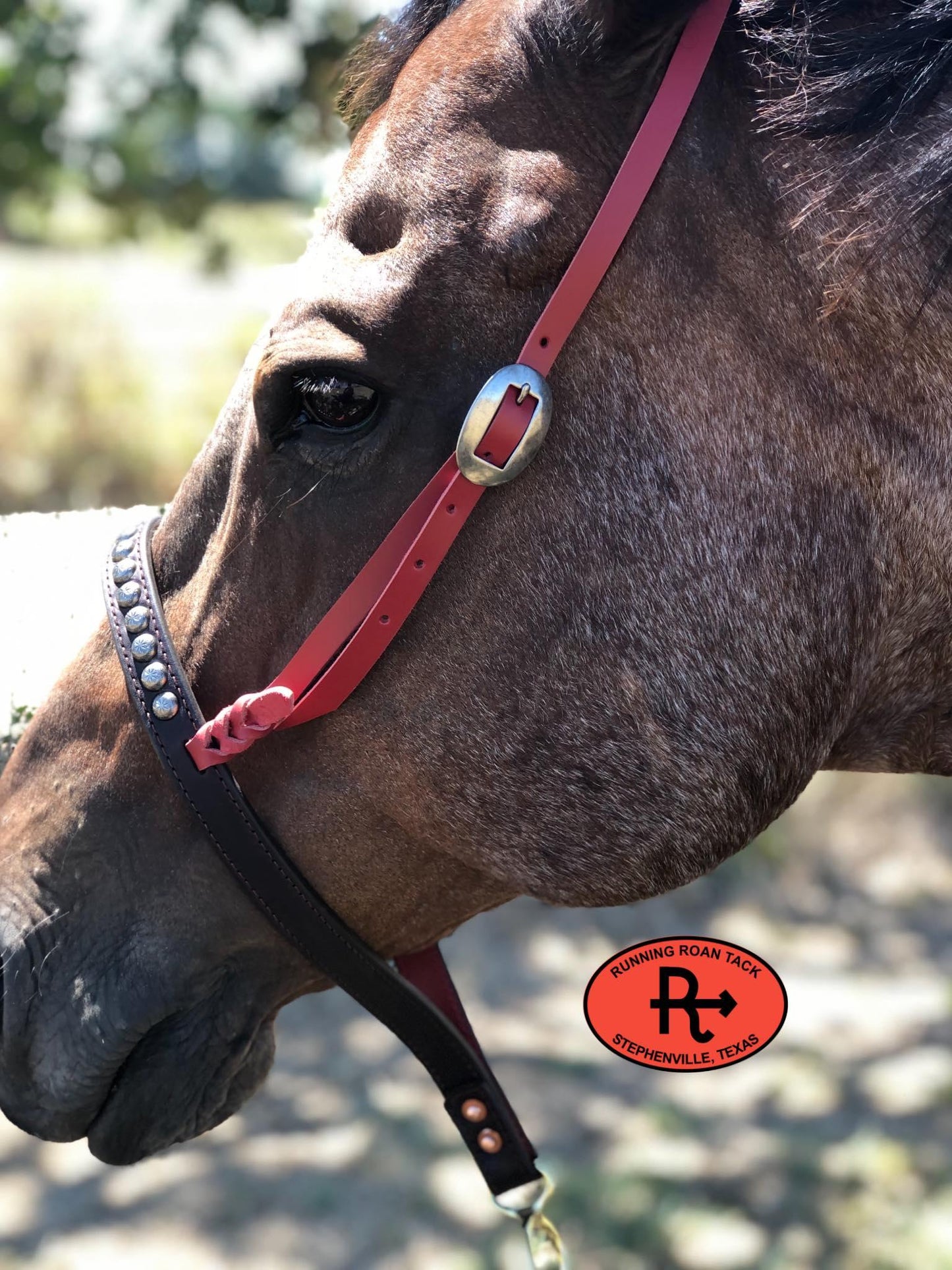 Tiedown Noseband with Red Leather Accents and Antique Silver Dots