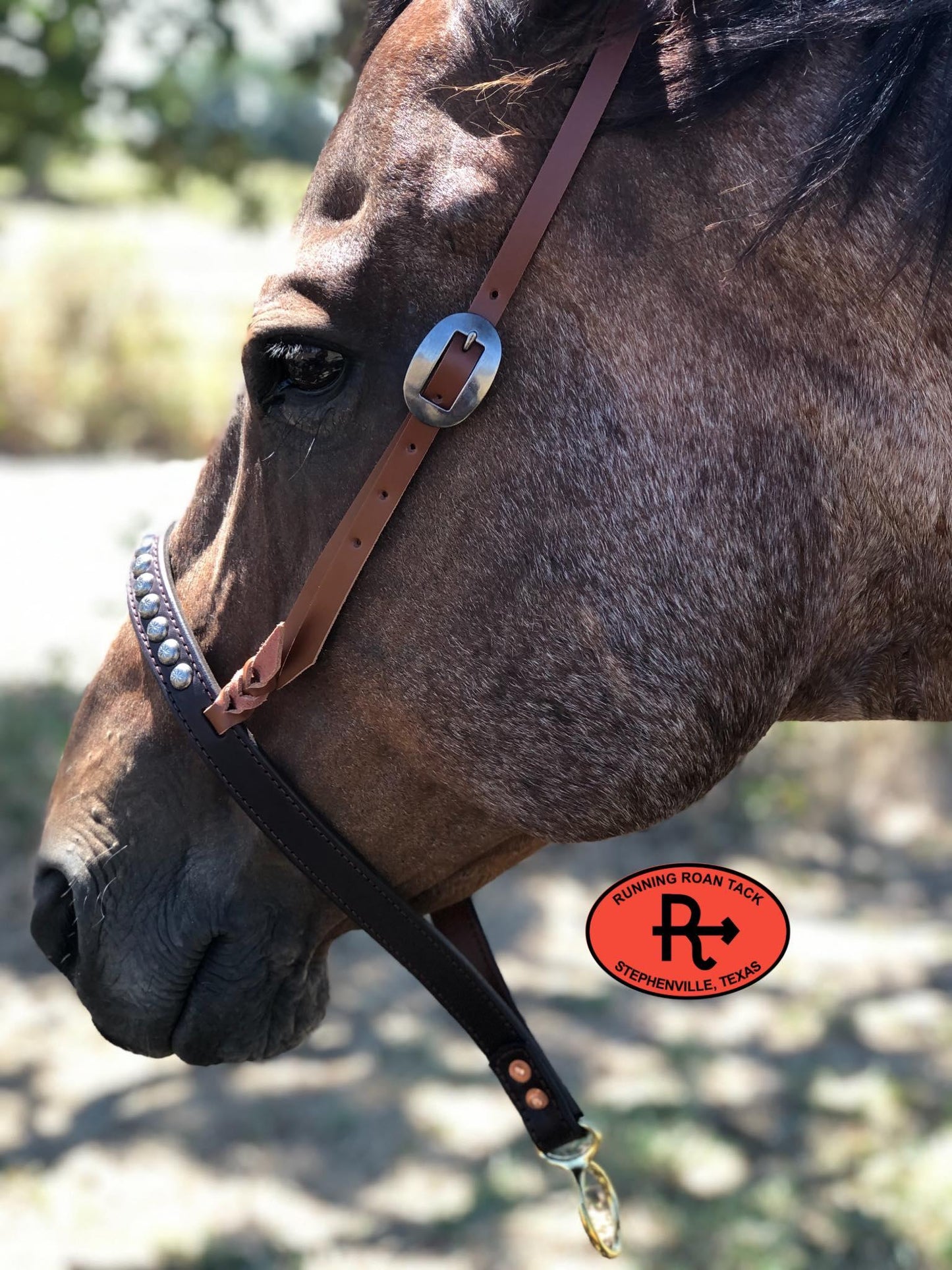 Tiedown Noseband with Whisky Leather Accents and Antique Silver Dots