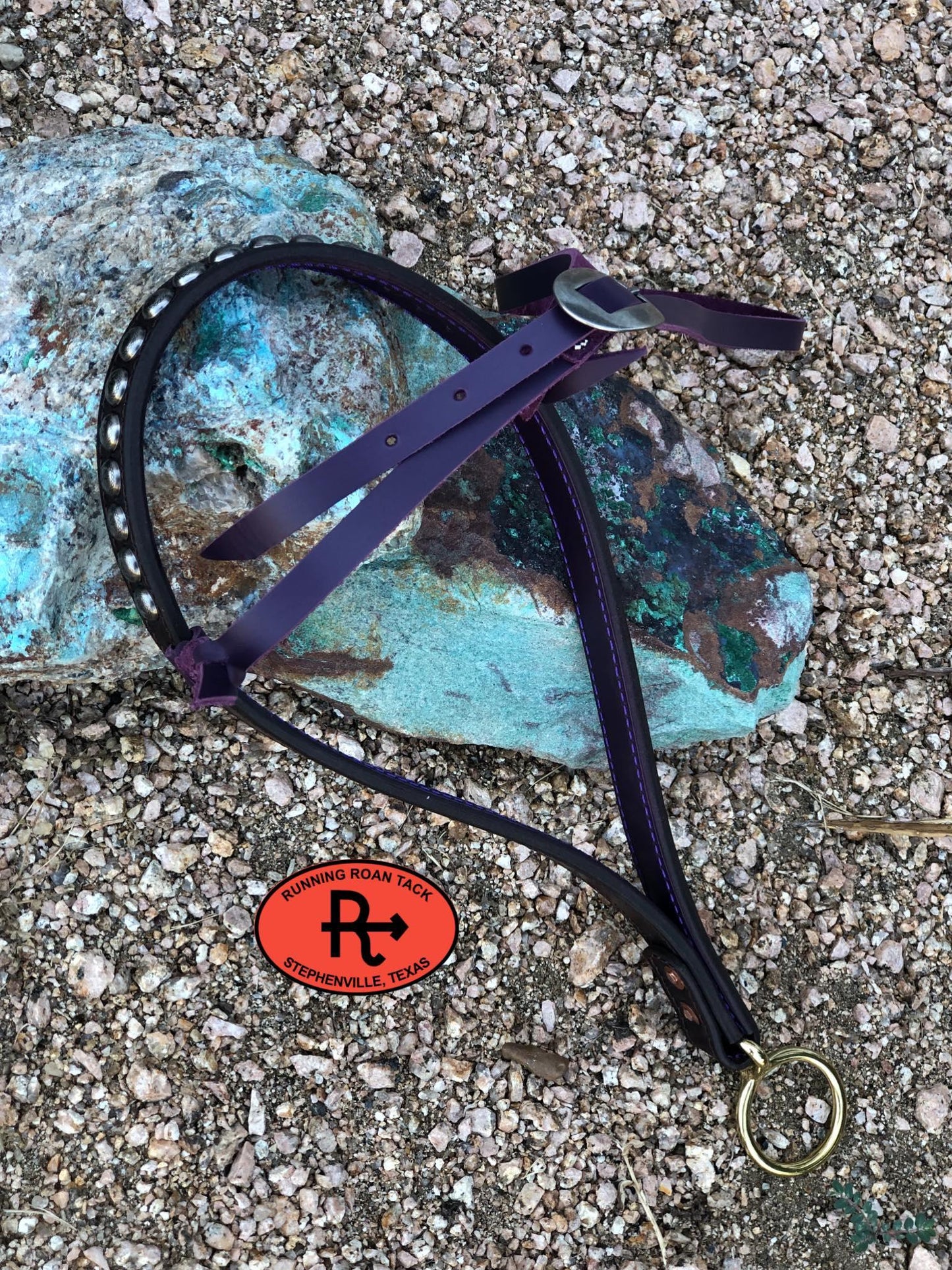 Tiedown Noseband with Dark Purple Leather Accents and Antique Silver Dots