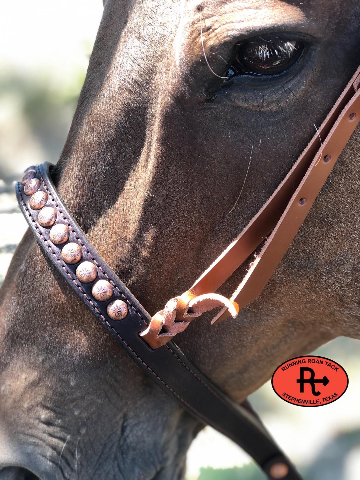 Tiedown Noseband with Whisky Leather Accents and Copper Dots