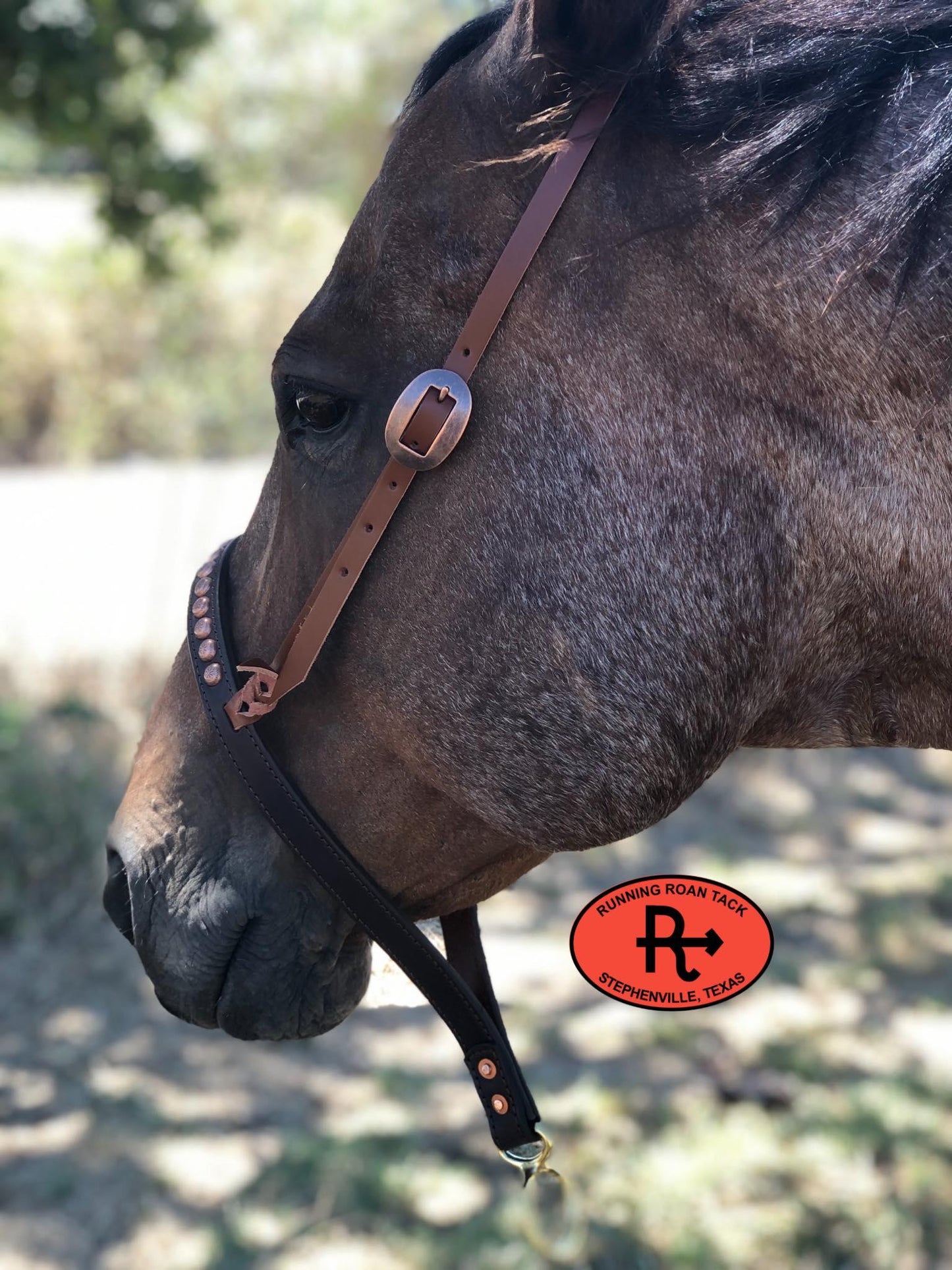 Tiedown Noseband with Whisky Leather Accents and Copper Dots