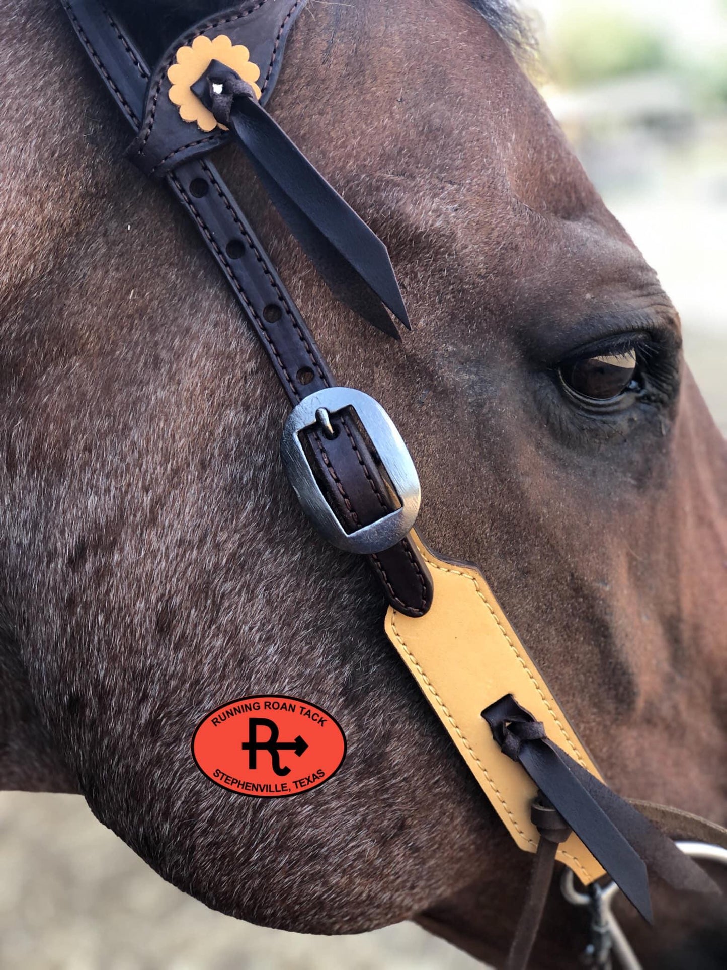 Buckskin Single Ear Short Gag Headstall with Antique Silver Buckles and Chocolate Ties