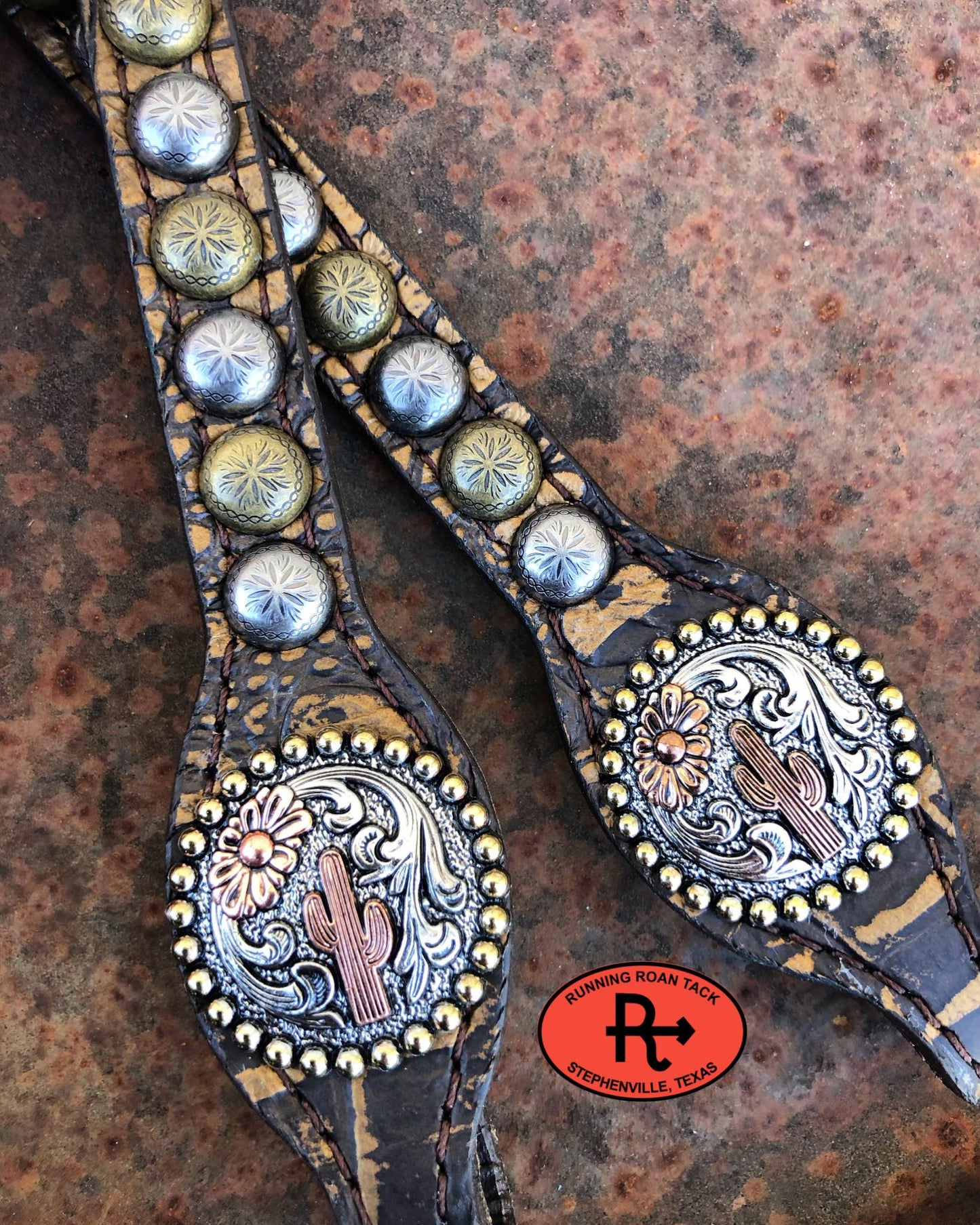 Bronze Croc Standard Size Headstall with Multicolor Dots and Tricolor Sheridan Cactus Conchos