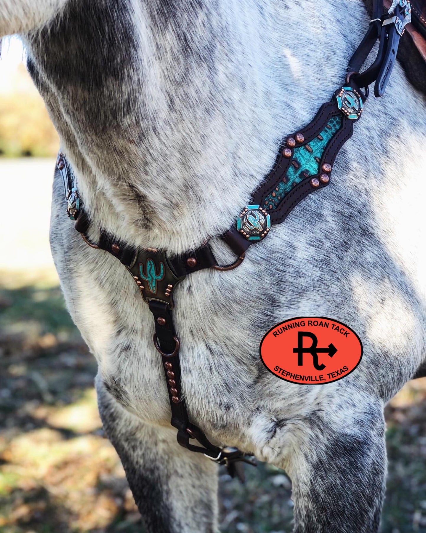 Ring Breast Collar with German Silver Saguaro Cactus Martingale Plate and Inlaid Turquoise Croc