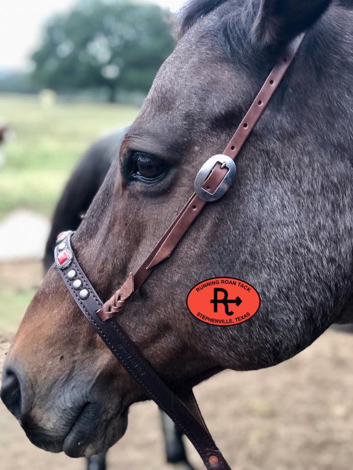 Tiedown Noseband with Faux Coral Conchos and Antique Silver Dots