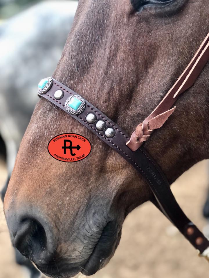 Tiedown Noseband with Faux Turquoise Conchos and Antique Silver Dots