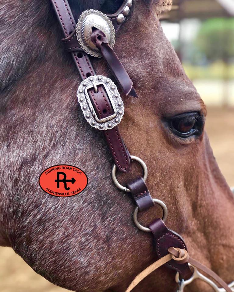 Single Ear Standard Size Ring Headstall with Slotted Mesa Concho