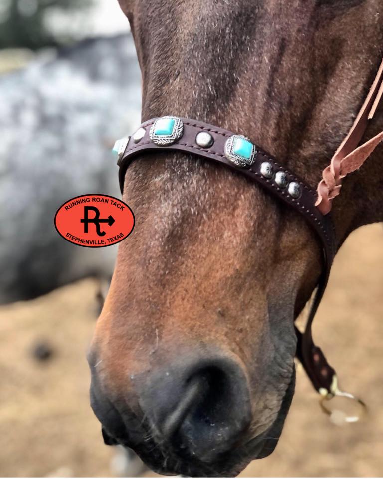 Tiedown Noseband with Faux Turquoise Conchos and Antique Silver Dots