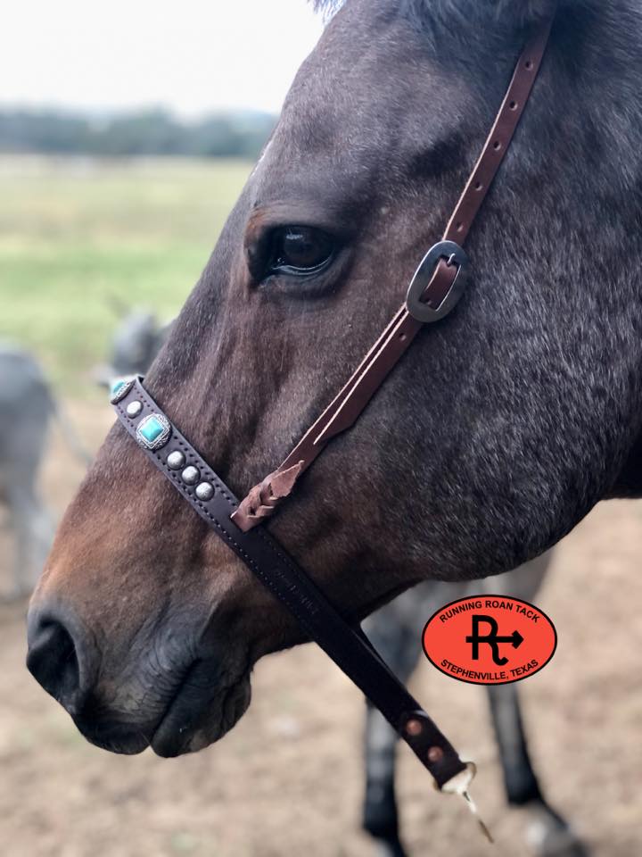 Tiedown Noseband with Faux Turquoise Conchos and Antique Silver Dots