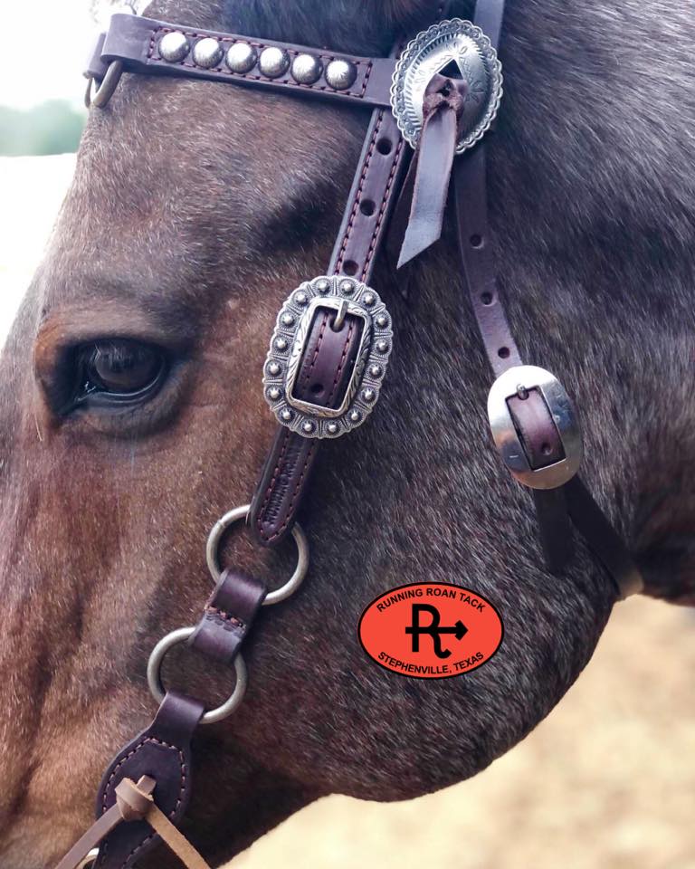 Browband Standard Size Ring Headstall with Slotted Mesa Concho