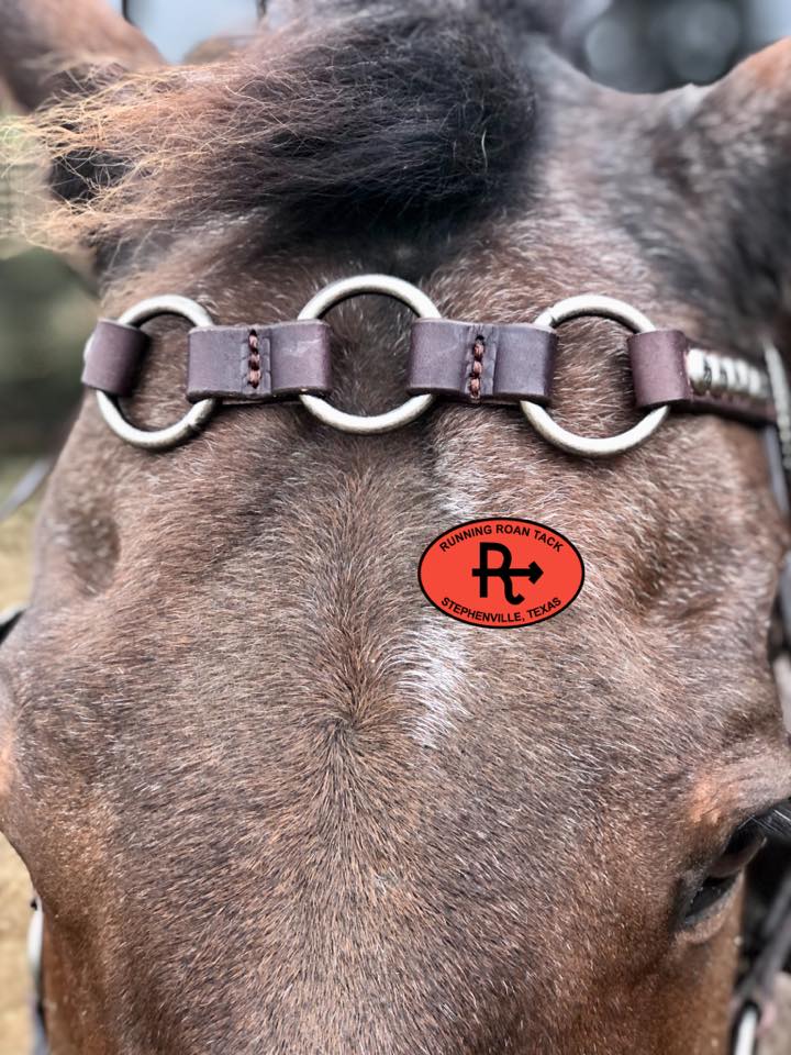 Short Cheek Browband Ring Headstall with Slotted Mesa Conchos