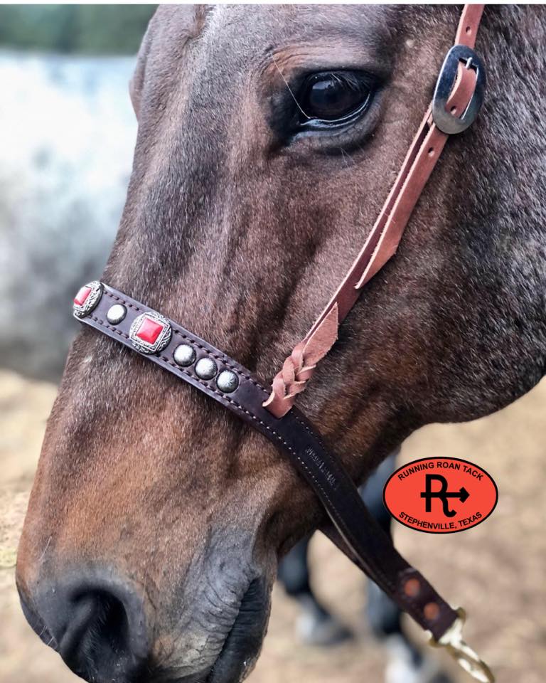 Tiedown Noseband with Faux Coral Conchos and Antique Silver Dots