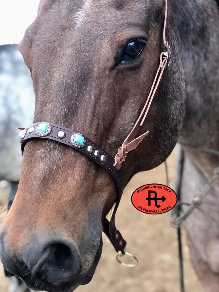 Tiedown Noseband with Faux Turquoise Conchos and Antique Silver Dots