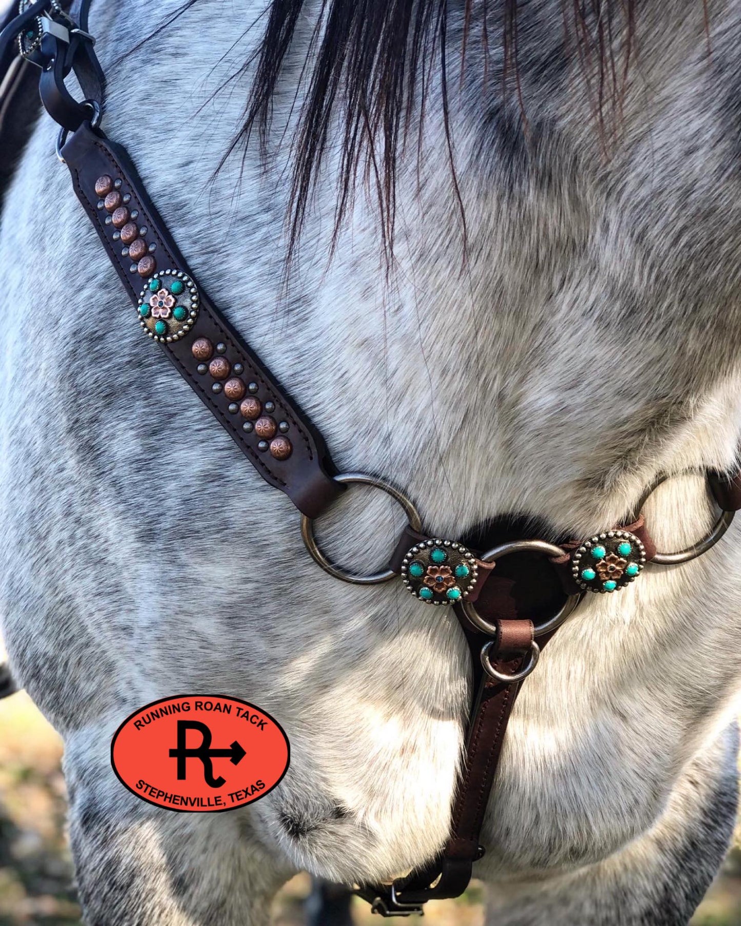 Ring Breast Collar with German Silver Copper Flower Conchos