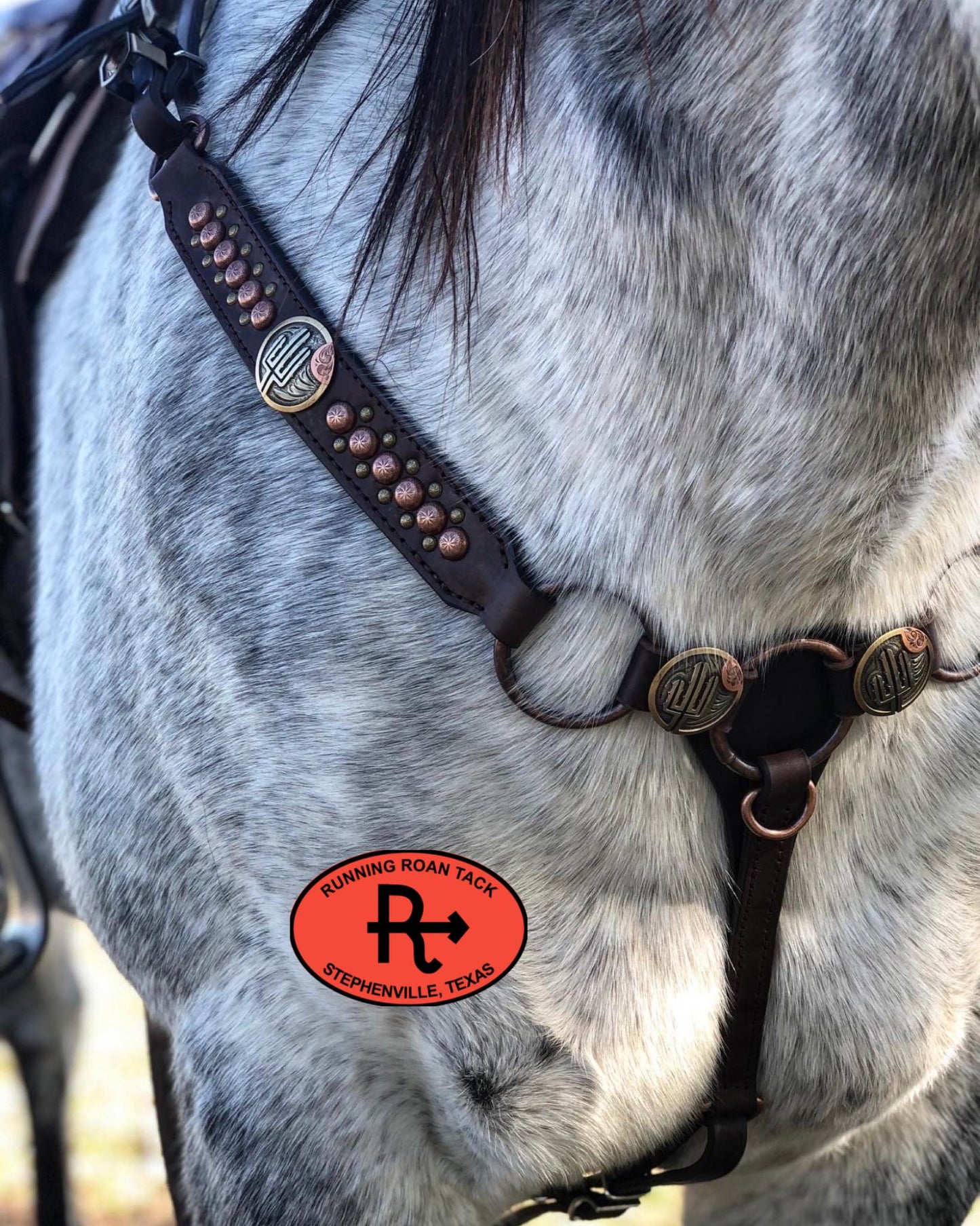 Ring Breast Collar with German Silver Sunset Desert Conchos