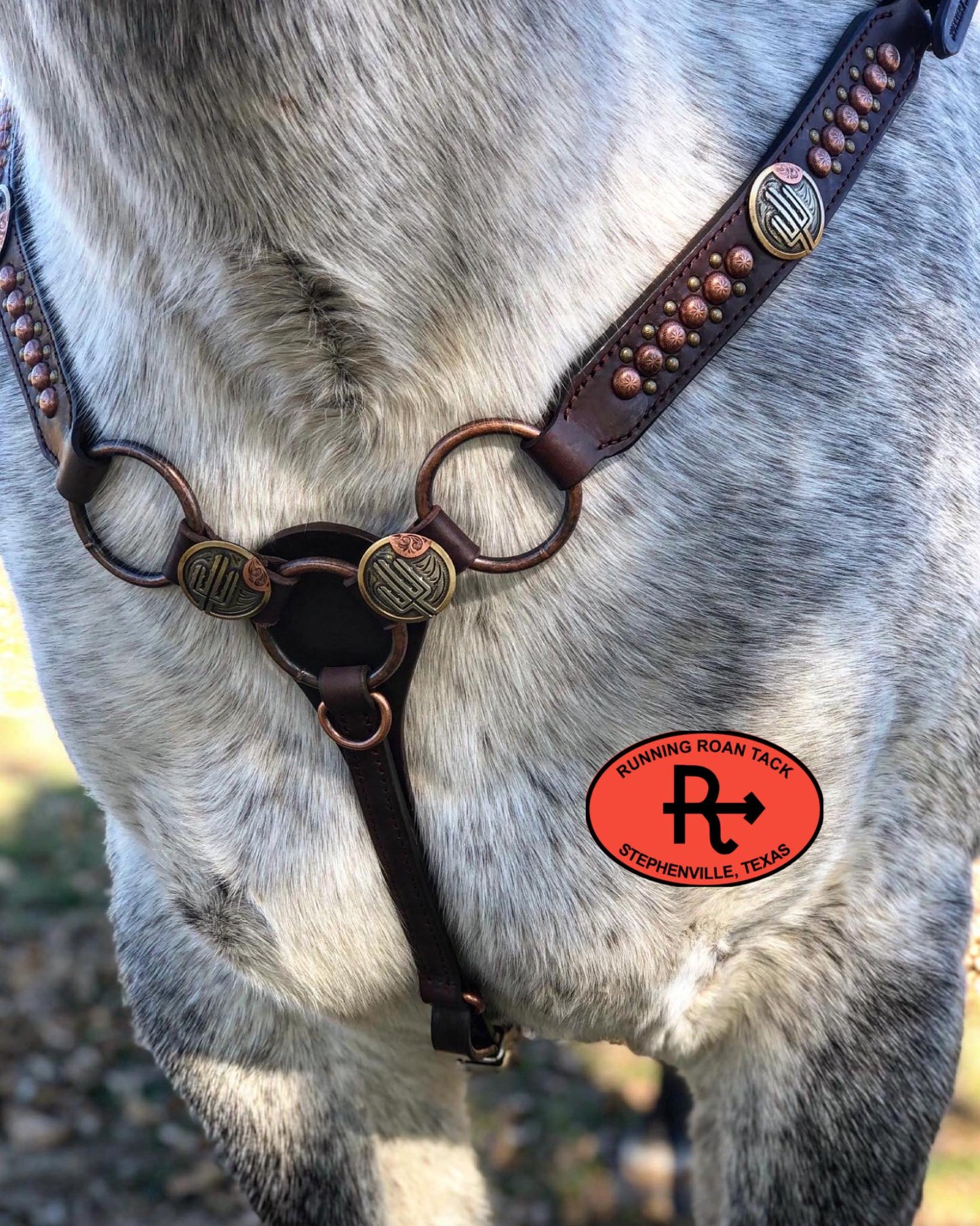 Ring Breast Collar with German Silver Sunset Desert Conchos