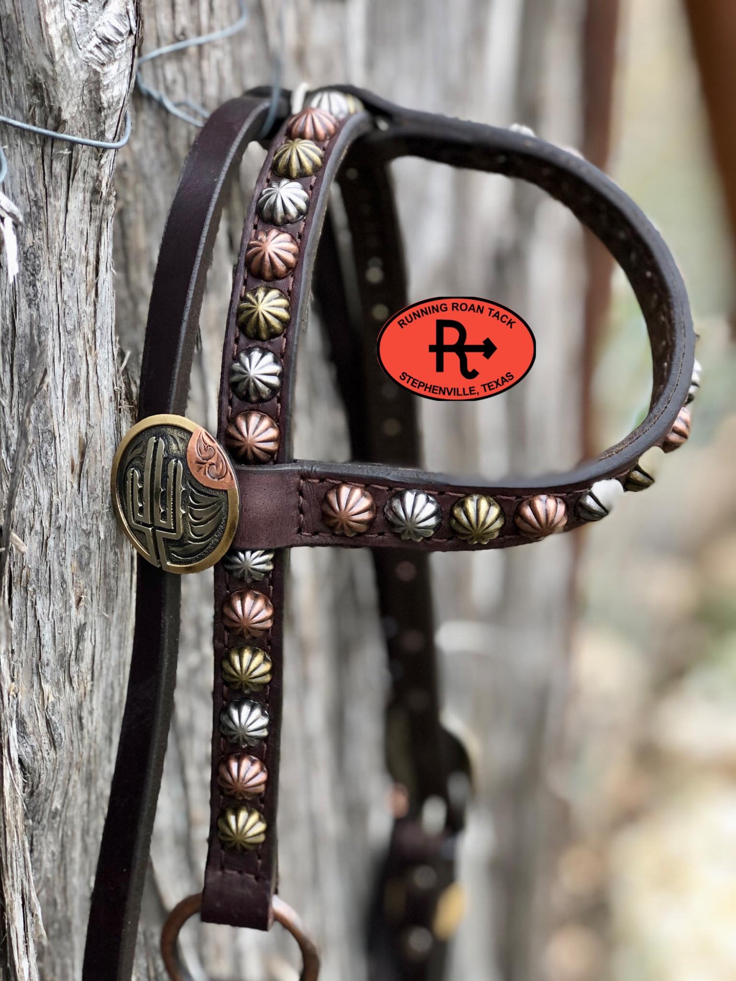 Single Ear with Throatlatch Ring Headstall with German Silver Tricolor Cactus Hardware 38"-42"