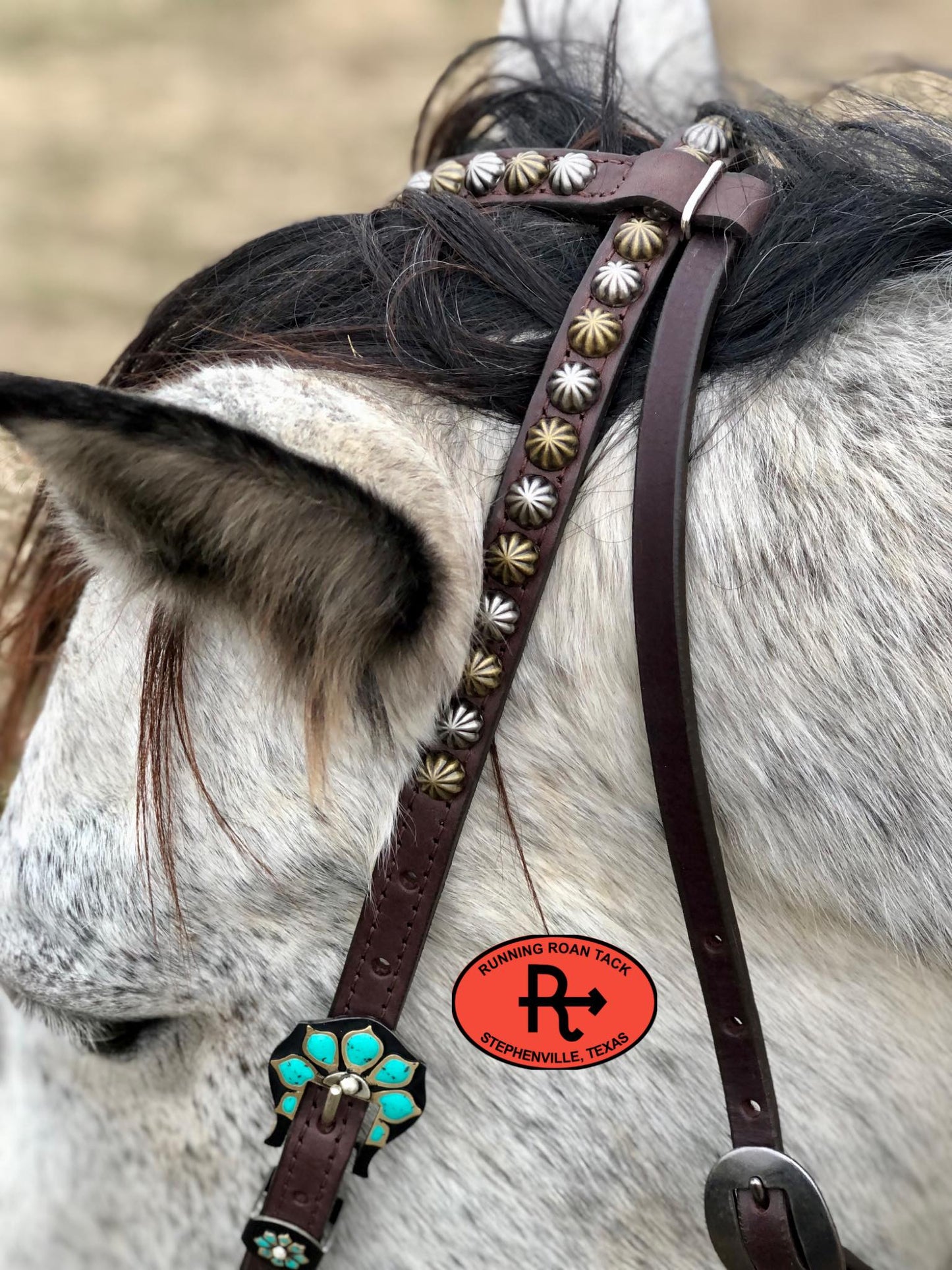 Single Ear with Throatlatch Ring Headstall with German Silver Turquoise Flower Hardware 36"-40"