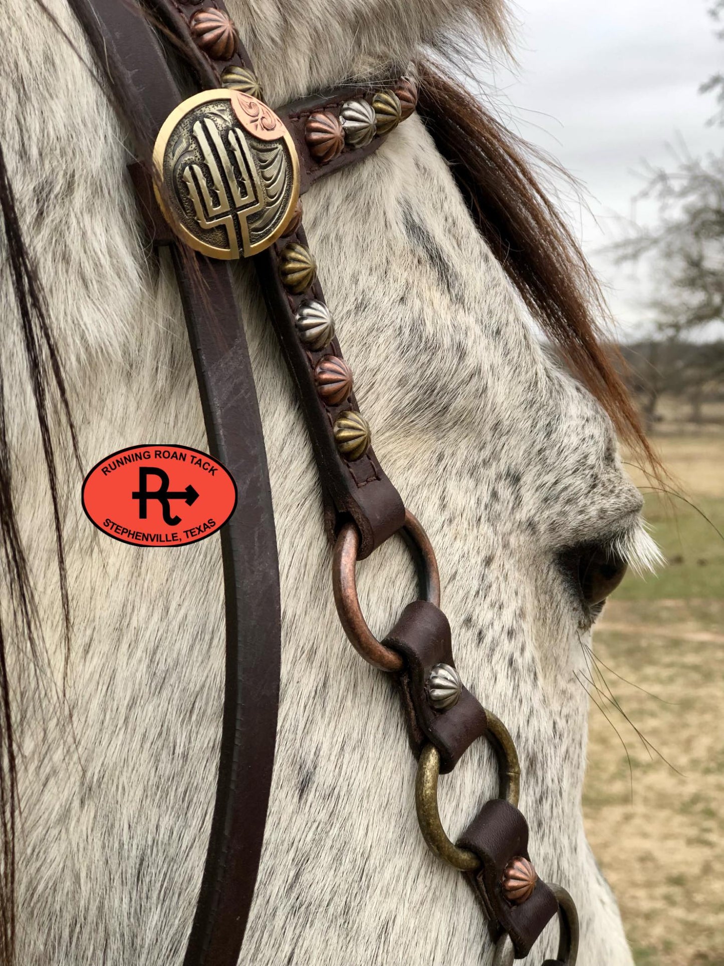 Single Ear with Throatlatch Ring Headstall with German Silver Tricolor Cactus Hardware 38"-42"