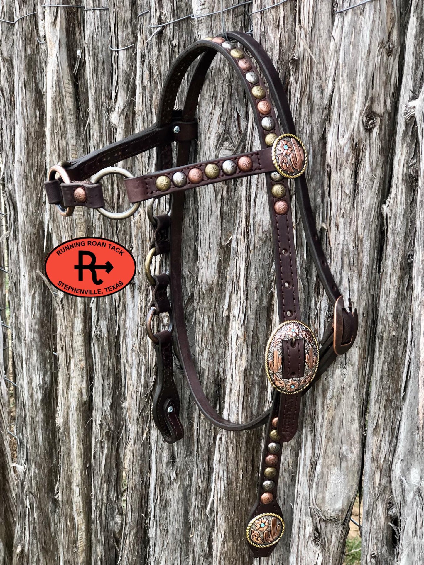 Browband Ring Headstall with Multicolor Dots and Tricolor Desert Hardware 36"-40"