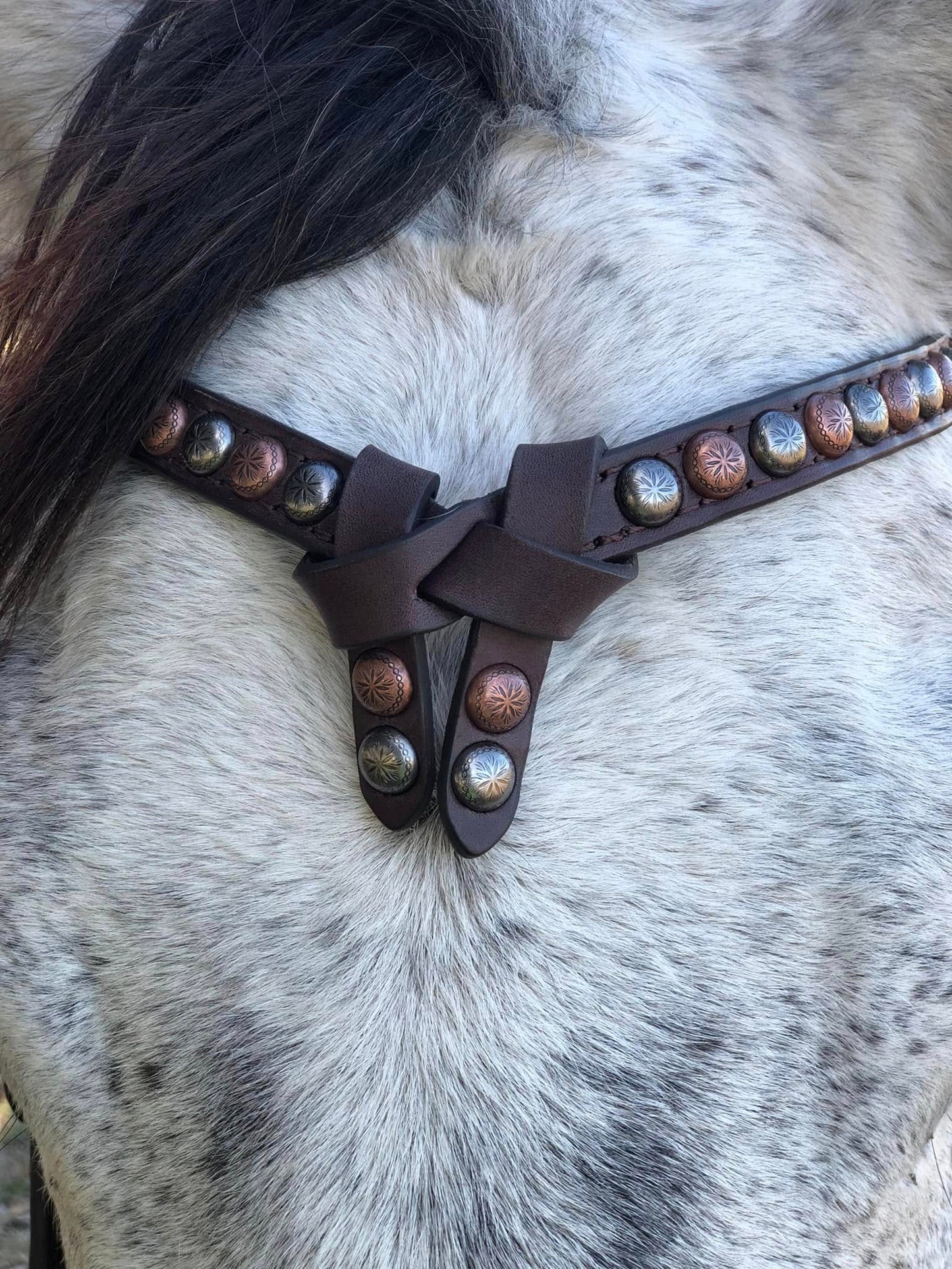 Futurity Knot Browband Headstall with Multicolor Dots and German Silver Flower Hardware 36"-43"