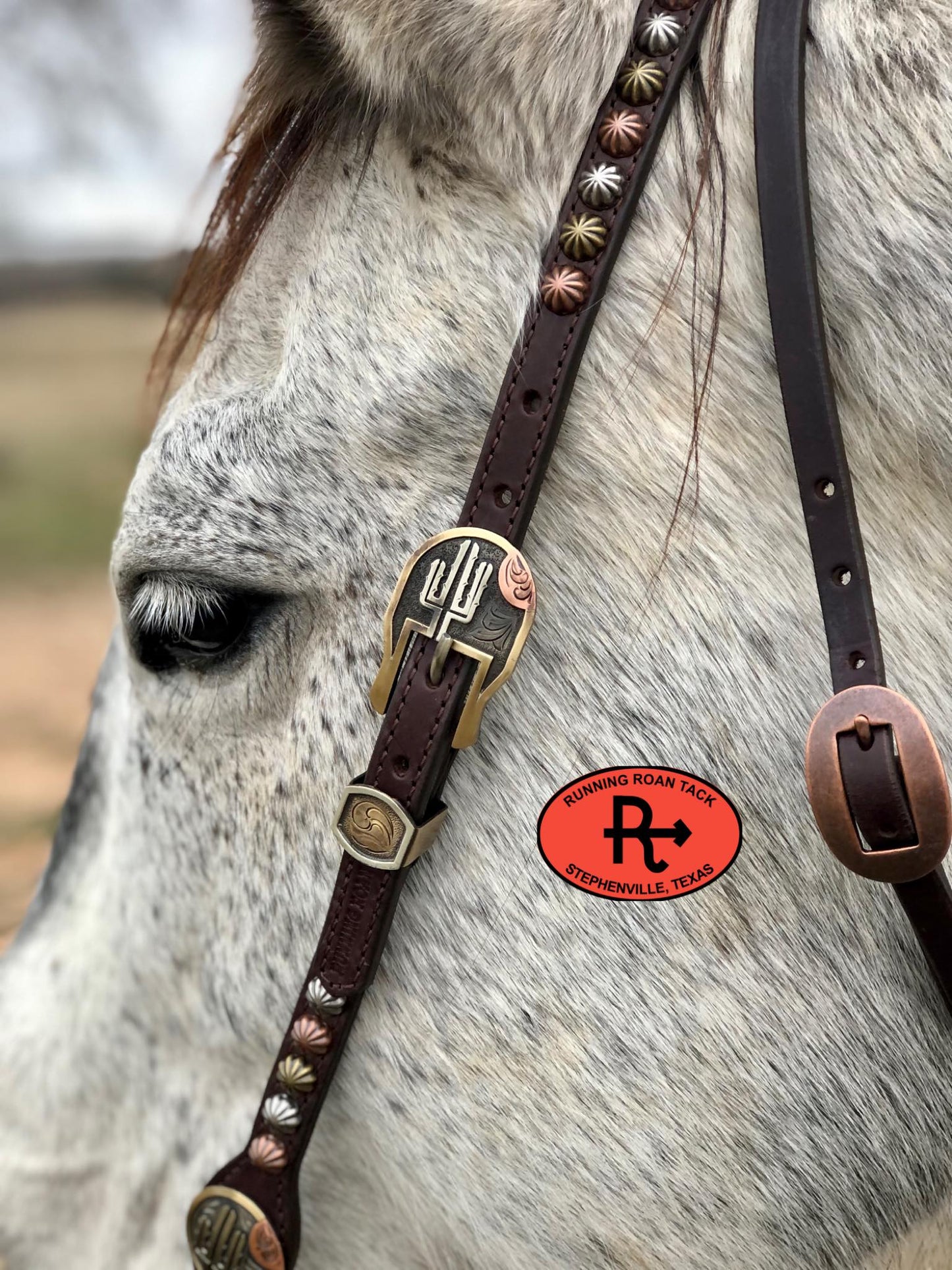 Single Ear with Throatlatch Ring Headstall with German Silver Tricolor Cactus Hardware 38"-42"