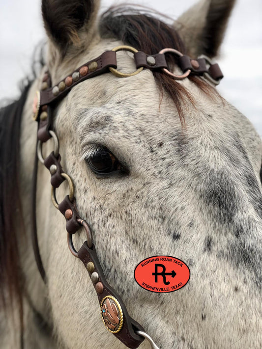 Browband Ring Headstall with Multicolor Dots and Tricolor Desert Hardware 36"-40"