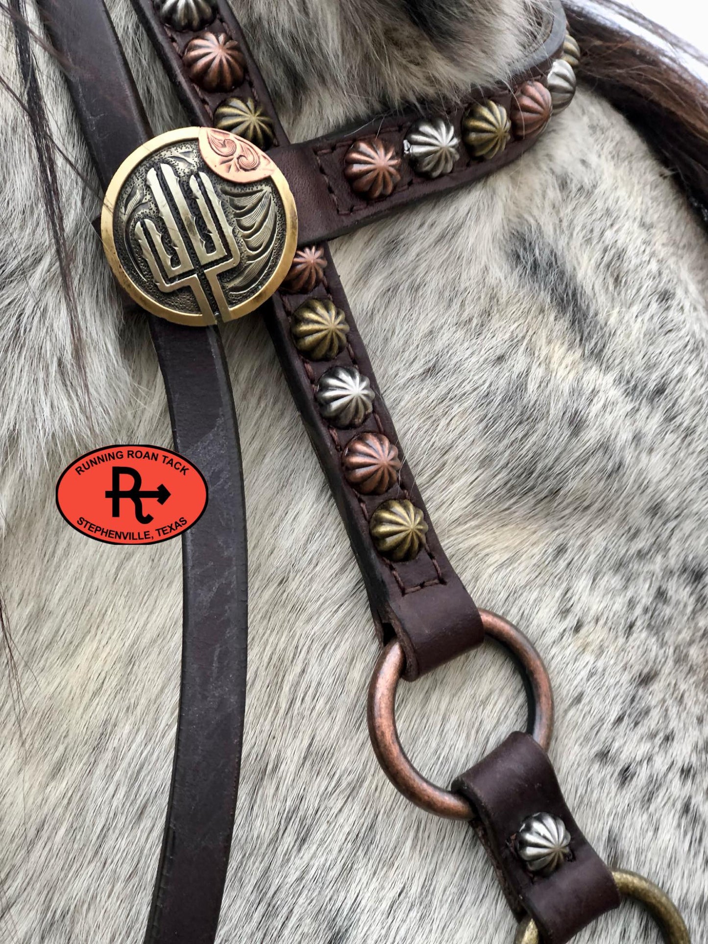 Single Ear with Throatlatch Ring Headstall with German Silver Tricolor Cactus Hardware 38"-42"