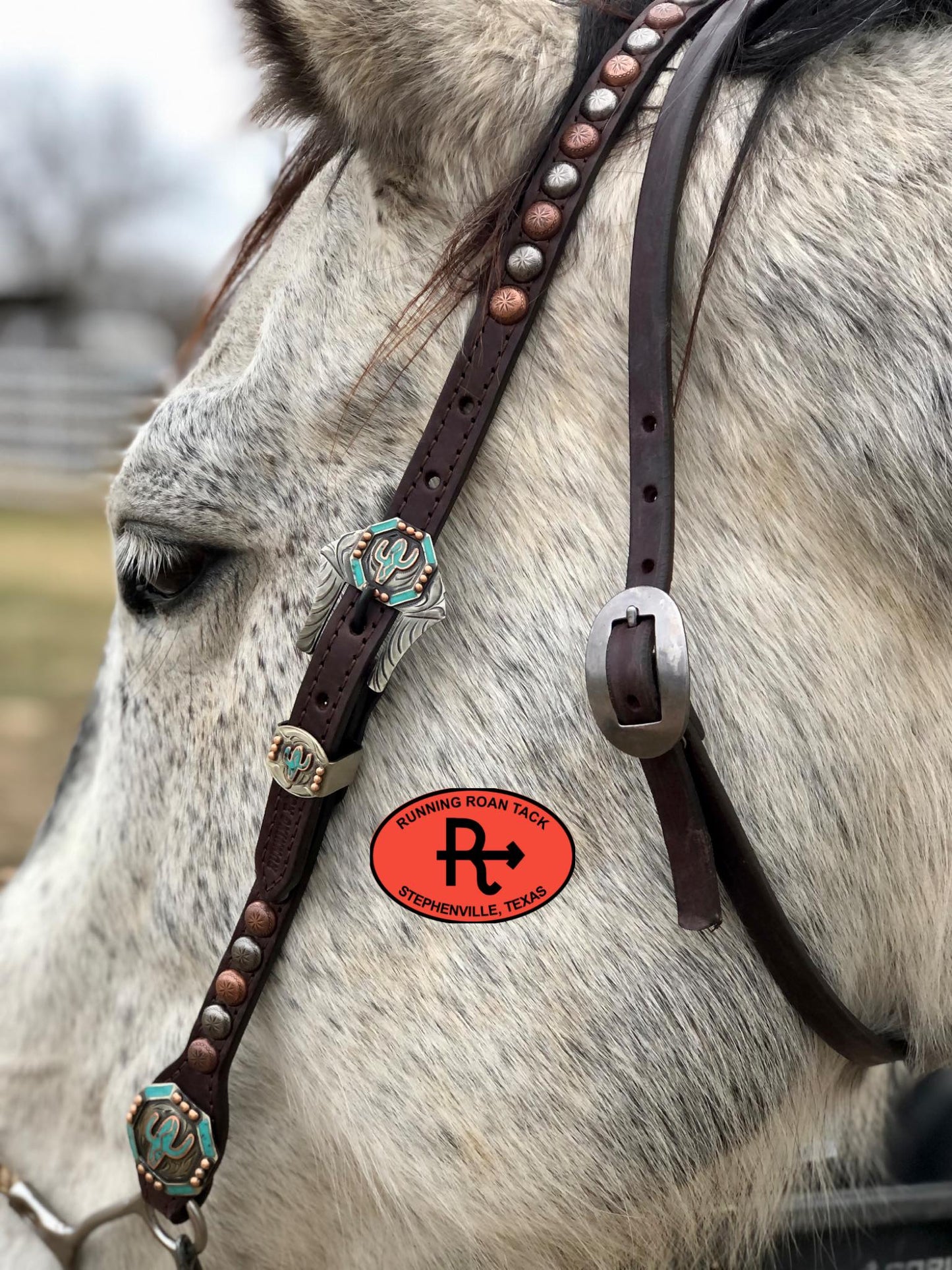 Single Ear with Throatlatch Ring Headstall with and German Silver Cactus Hardware 36"-40"