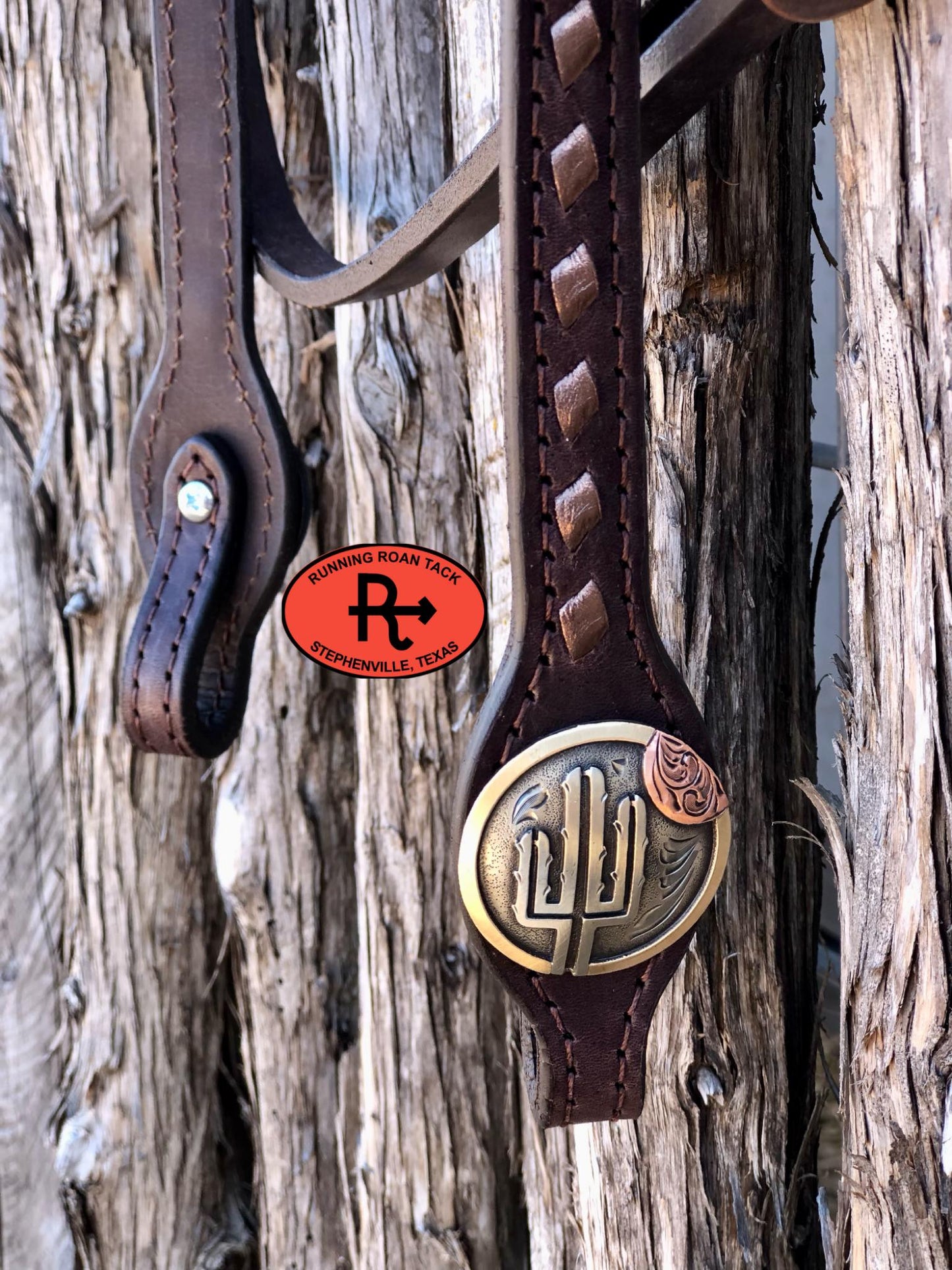 Futurity Knot Browband Headstall with Metallic Bronze Buckstitch and German Silver Cactus Hardware 36"-43"